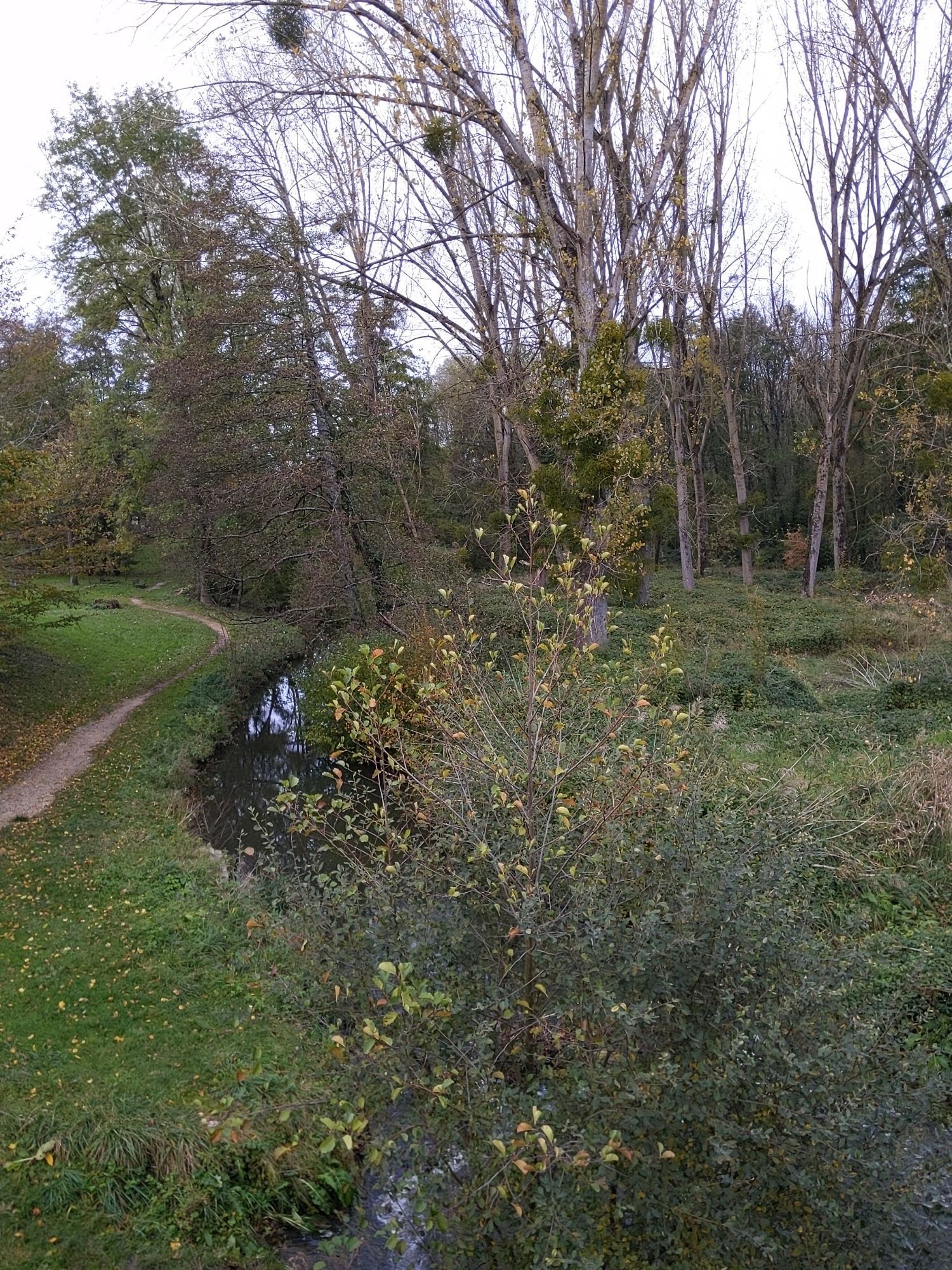 Un petit ruisseau de la Choisille et la nature environnante aux couleurs automnales.