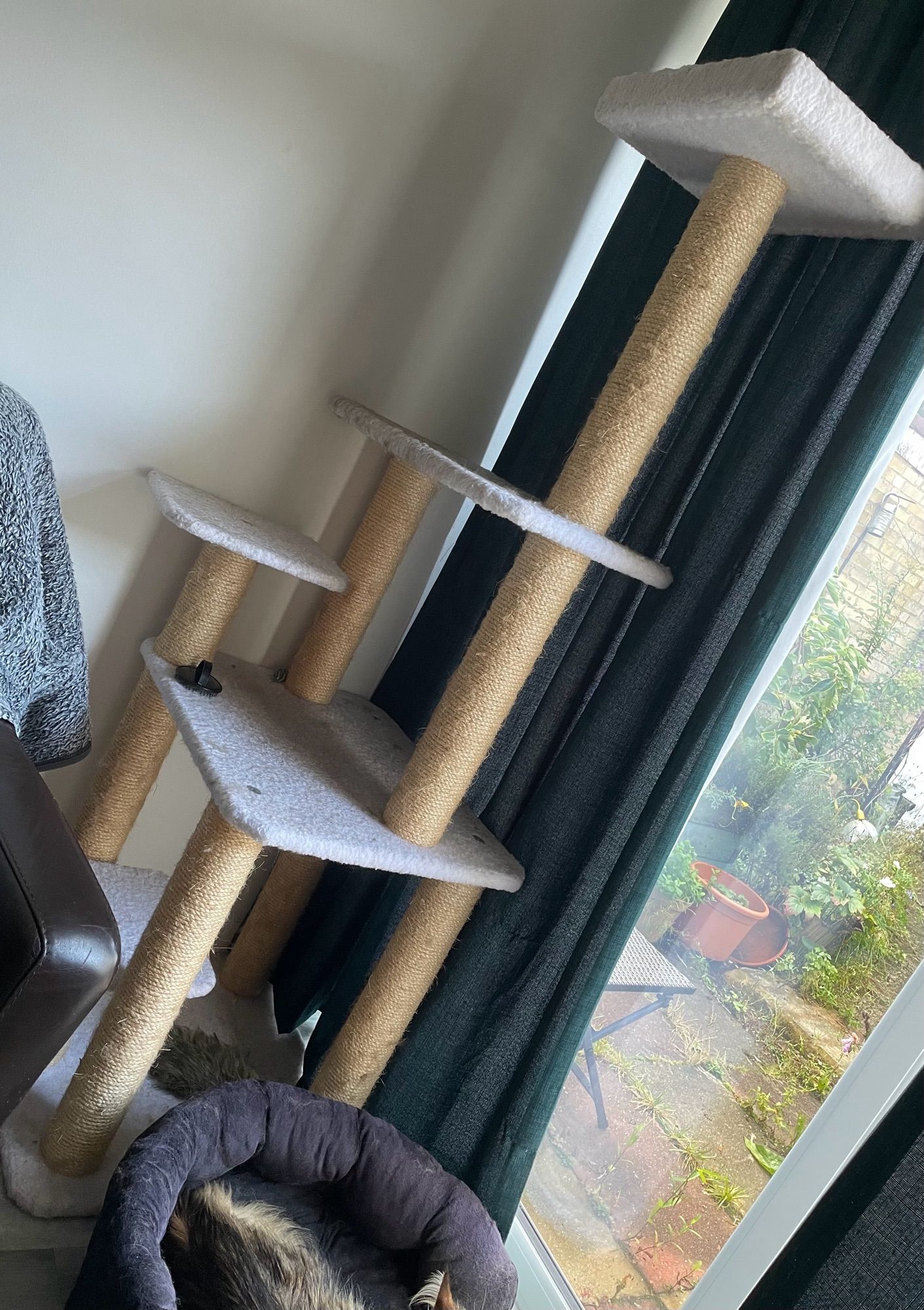 Diagonally framed picture of a multi-level cat tree that has our platforms of varying sizes and heights above ground. Bonus! Part of cat in a dog bed visible at the bottom.