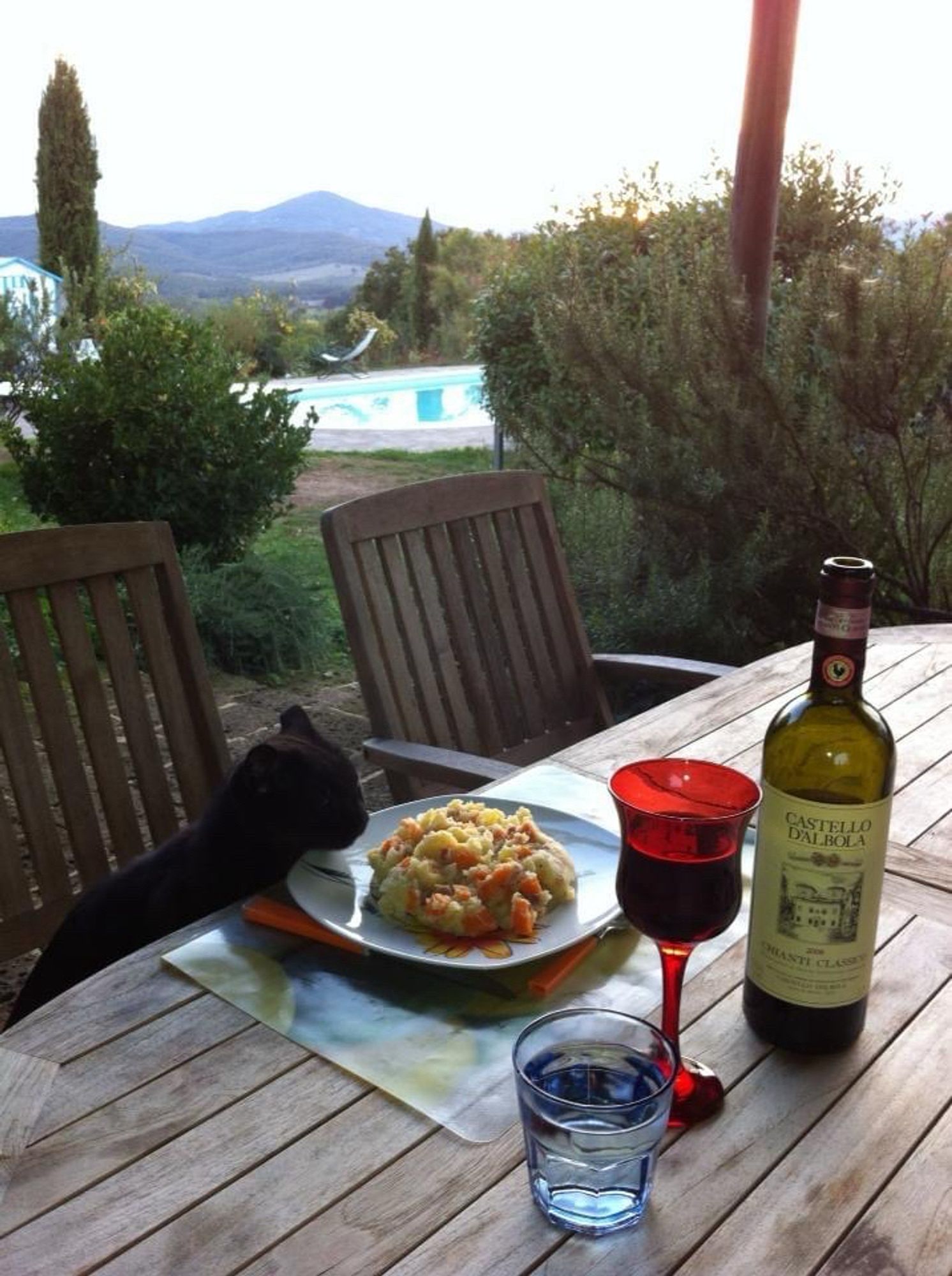 Nero de zwarte kat ruikt aan een vol bord hutspot dat met wijn en water op een tuintafel staat. Op de achtergrond een zwembad en een heuvel