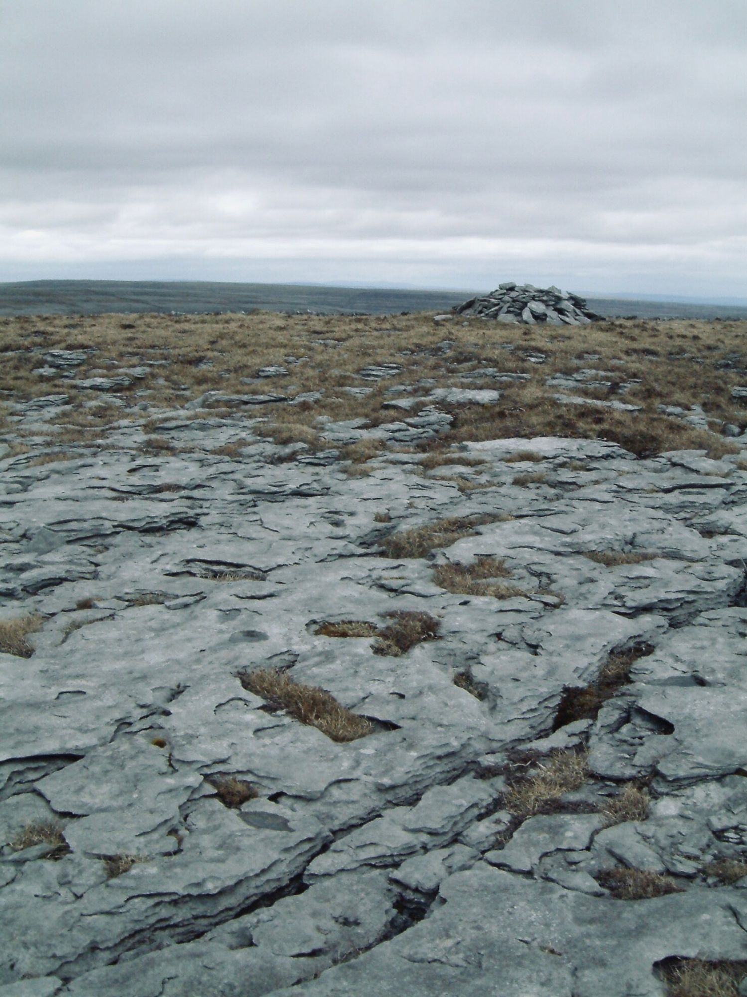 Gray exposed limestone bedrock of the burren in western Ireland with scrubby plant life finding a home in the eroded pockets and cracks. A pile of flat stones is in the distance. After that, a gray clouded sky.