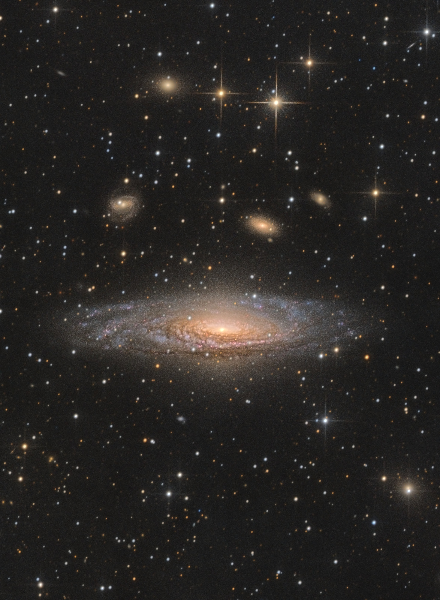 "An elegant image of NGC 7331, an unbarred spiral galaxy located approximately 40 million light-years away in the constellation Pegasus. The galaxy's bright, golden core is surrounded by softly glowing spiral arms, rich with detail. The surrounding field is populated with numerous stars and distant galaxies, creating a sense of depth and vastness in this cosmic scene. Discovered by William Herschel in 1784, NGC 7331 stands out as a prominent feature in the night sky." #space #astrophotography