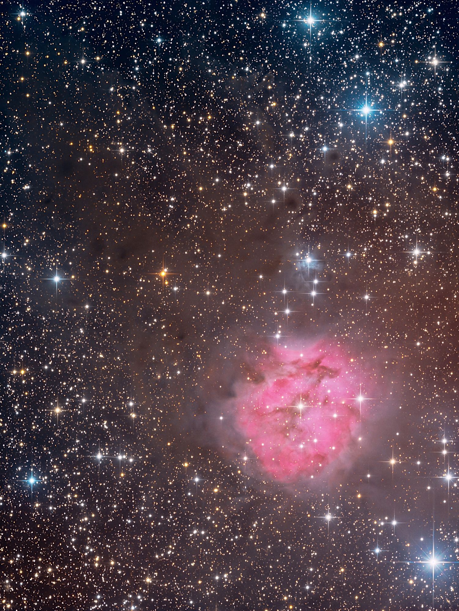 "A breathtaking capture of IC 5146, known as the Cocoon Nebula, located in the constellation Cygnus. The nebula is beautifully highlighted in a vibrant pink color, surrounded by a dense field of stars. The central region of the nebula glows brightly due to the emission and reflection of light from nearby stars, contrasting with the dark, dusty clouds enveloping it. The surrounding star field is rich and varied, with numerous stars twinkling in shades of blue and gold, adding depth and scale to this stunning celestial scene."