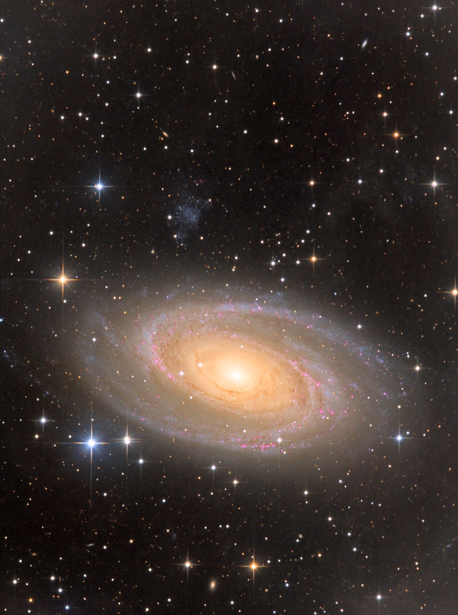 "A magnificent image of Messier 81, a grand design spiral galaxy located approximately 12 million light-years away in the constellation Ursa Major. The galaxy’s bright, golden core is surrounded by tightly wound spiral arms, which are subtly highlighted by pink regions indicating star-forming areas. The surrounding space is filled with countless stars, each adding to the depth and scale of this cosmic scene. The delicate structure of the galaxy’s arms and the contrast between the warm central glow and the cooler outer regions make Bode's Galaxy a captivating sight in the vastness of space."