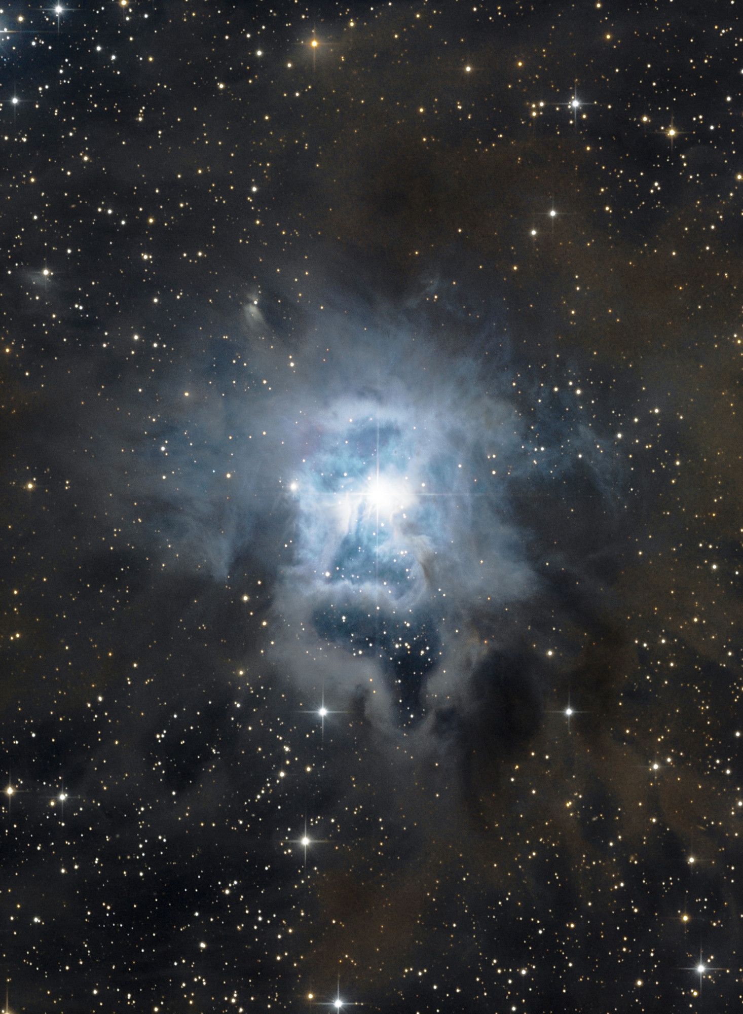 The iris nebula is a bright reflection nebula in the constellation Cepheus. The designation NGC 7023 refers to the open cluster within the larger reflection nebula designated LBN 487.