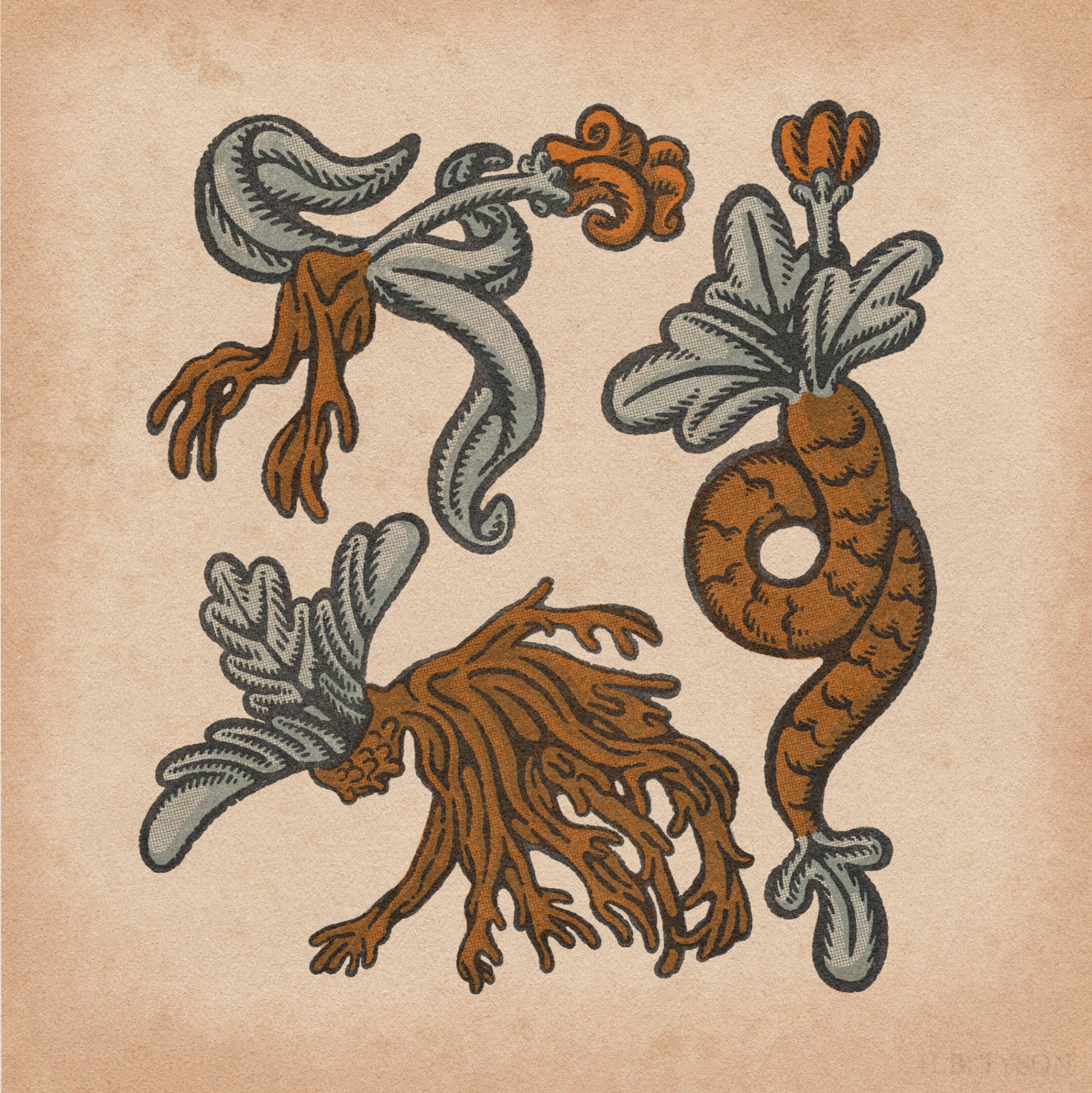 A digital illustration in the style of old print. It displays three plants in various states of transformation. All are growing vague animal-like bodies — one birdlike, one serpentine, and the other humanoid.