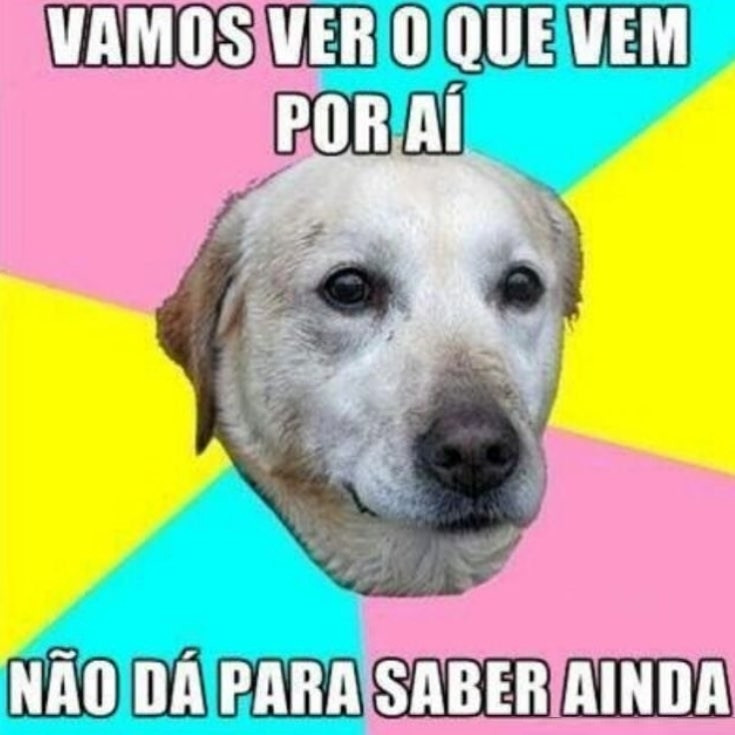 cachorro vamos ver o que vem por ai nao da pra saber ainda