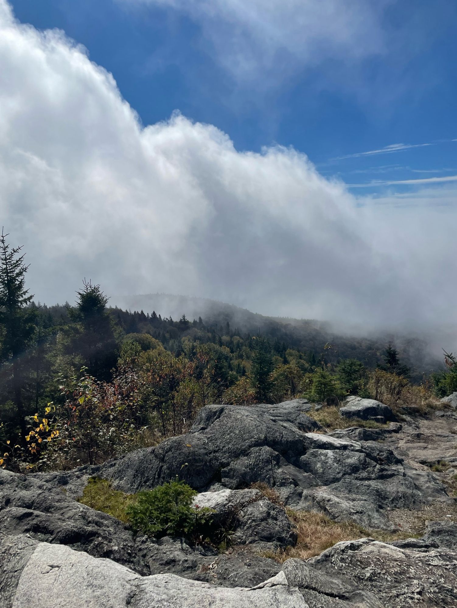 Fog blocking view of mountains