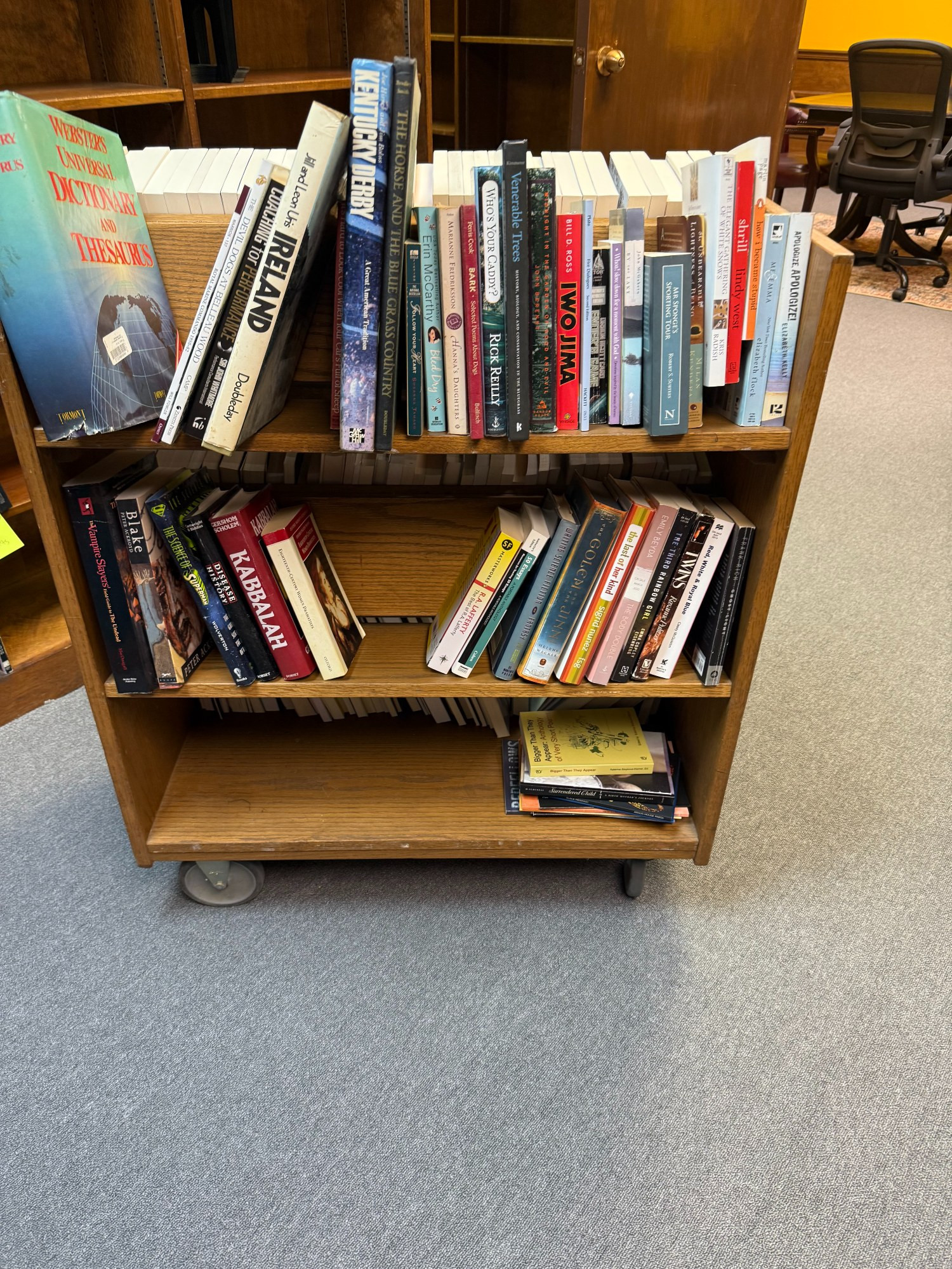 Some other donated books, including many great ones from Greg!