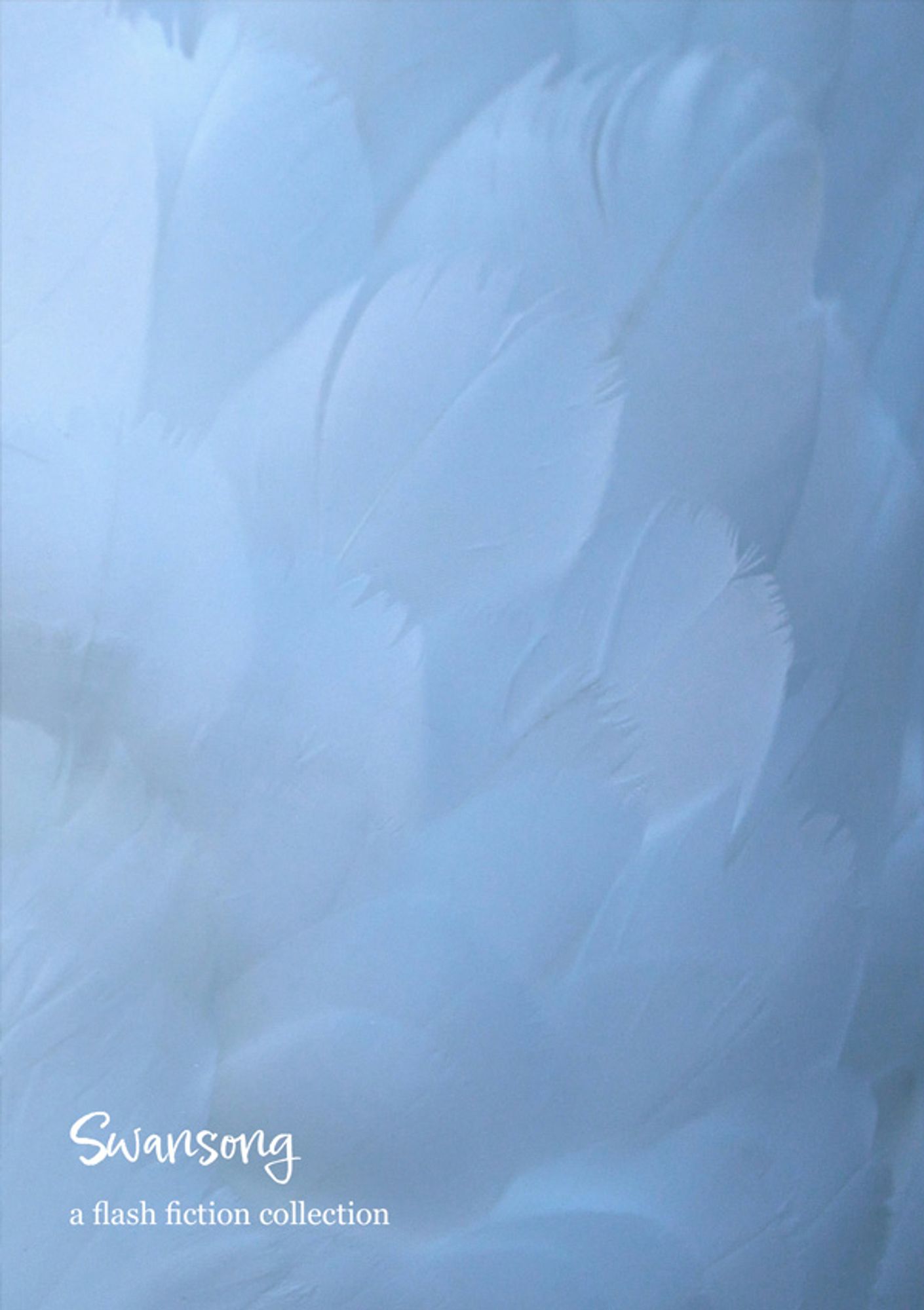 Ellipsis Zine 14 cover - a close up of a swan's wing