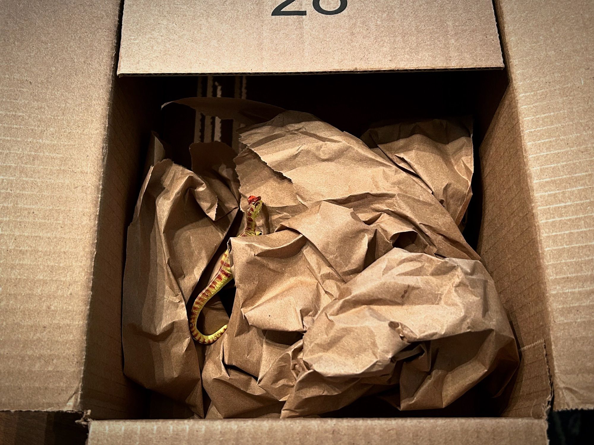 A green Dilophosaurus with brown spots hiding amongst brown paper in a brown cardboard box.