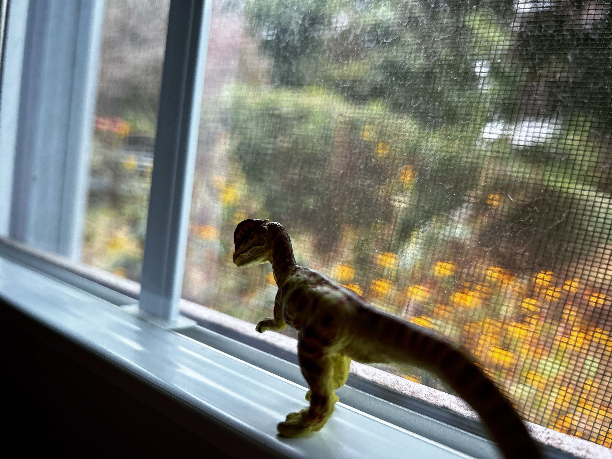 A shadow of a Dilophosaurus in a window looking outside at the rainy weather. Yellow black-eyed Susans are just outside with a hedgerow in the distance.