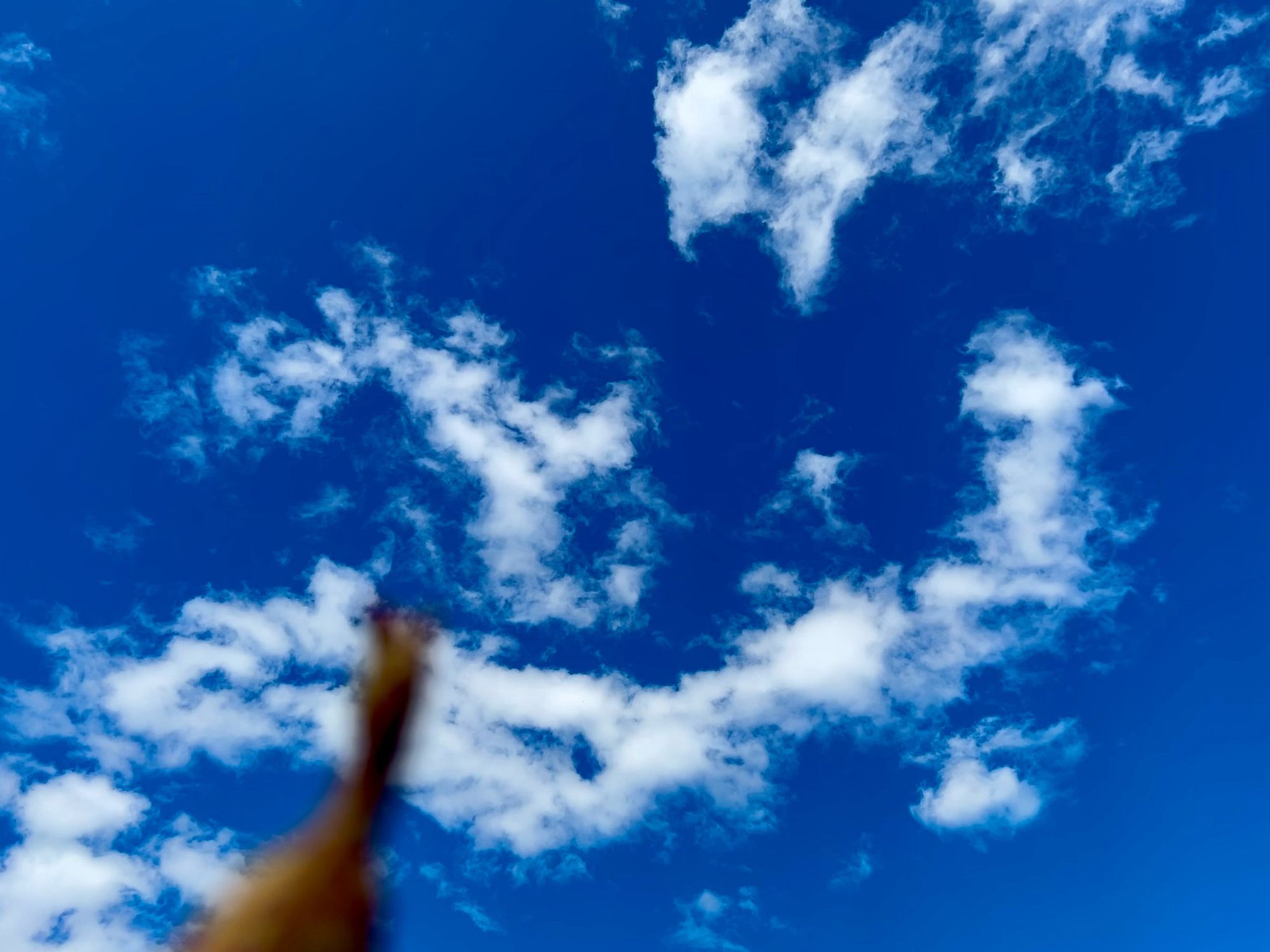 A blurry green and brown Dilophosaurus watches a deep blue sky with fluffy white clouds. Aww.