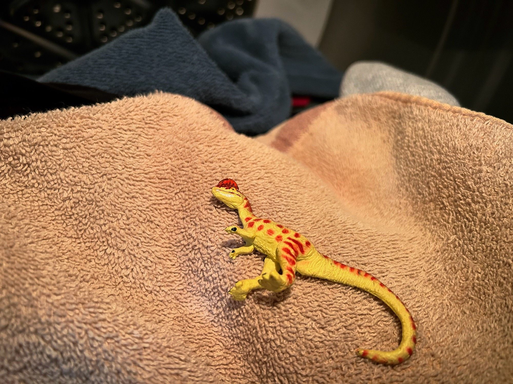 A green Dilophosaurus with brown spots lying on top of a tan towel inside the drum of a dryer.