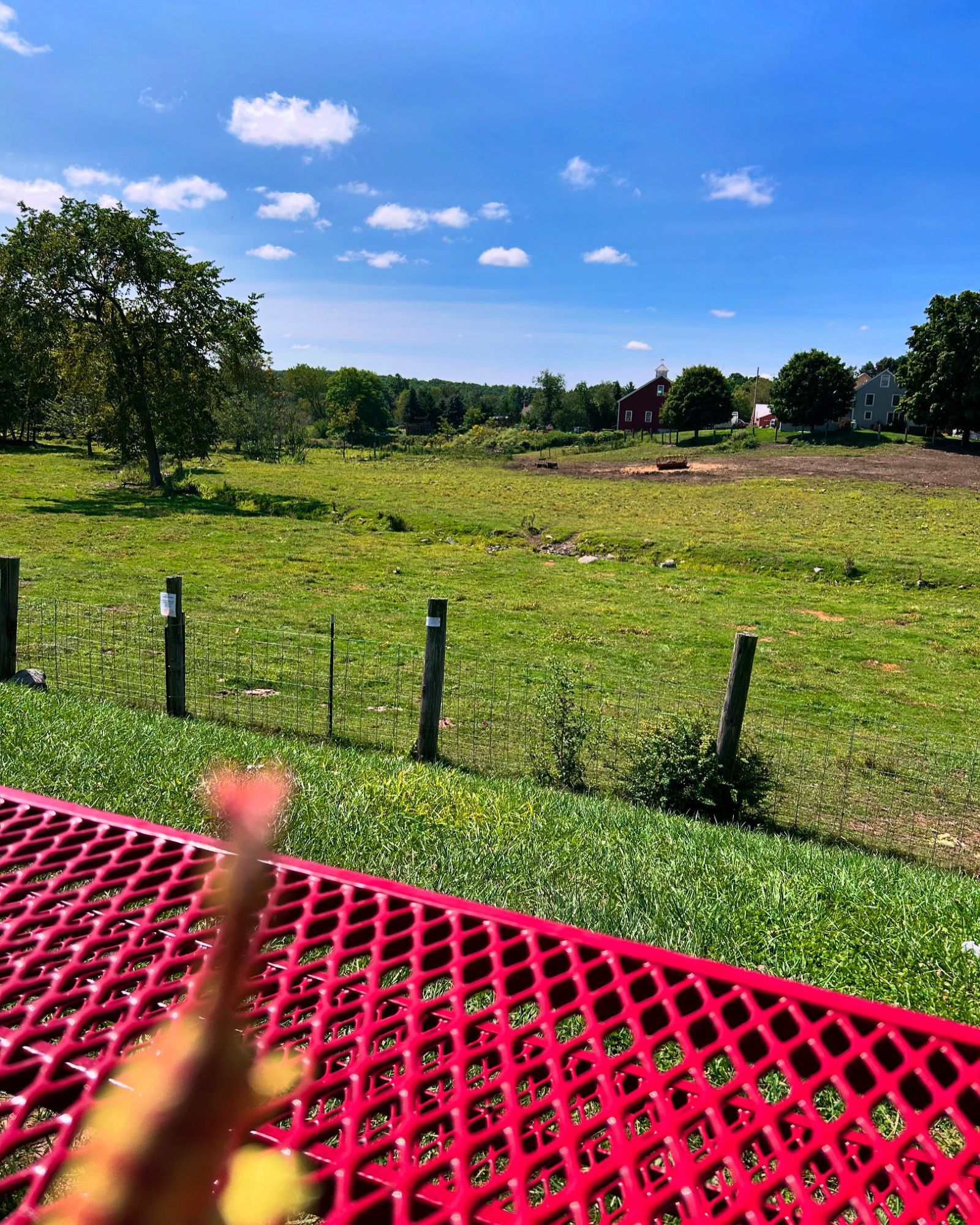 A blurry green Dilophosaurus watching the clouds in a deep blue sky over a meadow of green from a red picnic table.