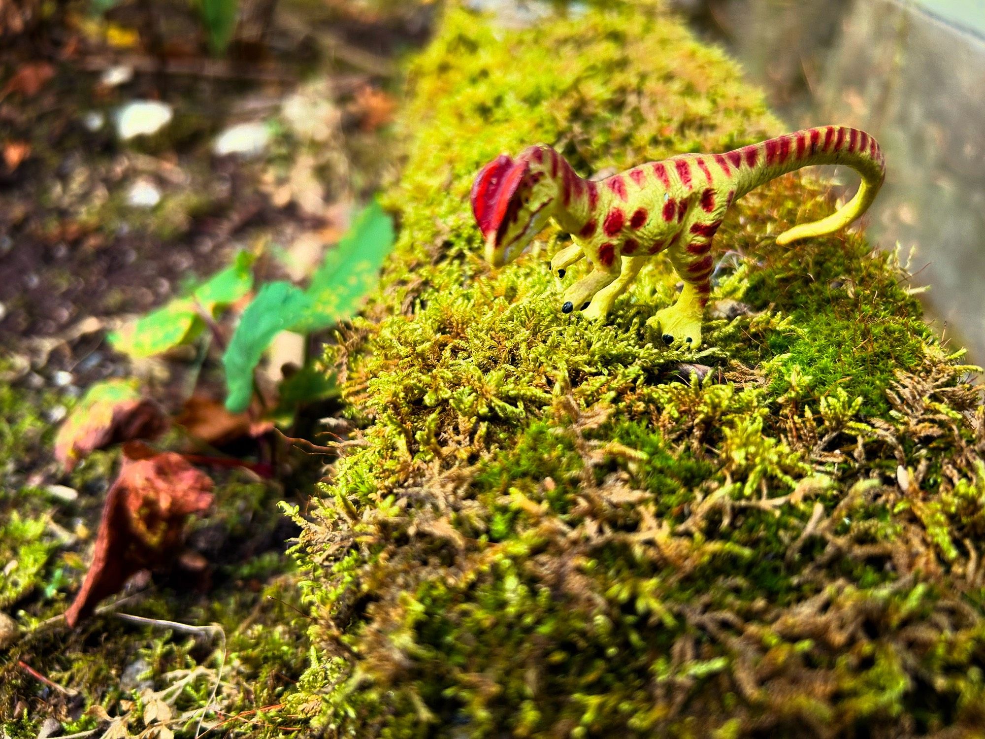 A green Dilophosaurus with brown spots standing on a mossy ledge overlooking a plain of barren soil and fallen leaves.