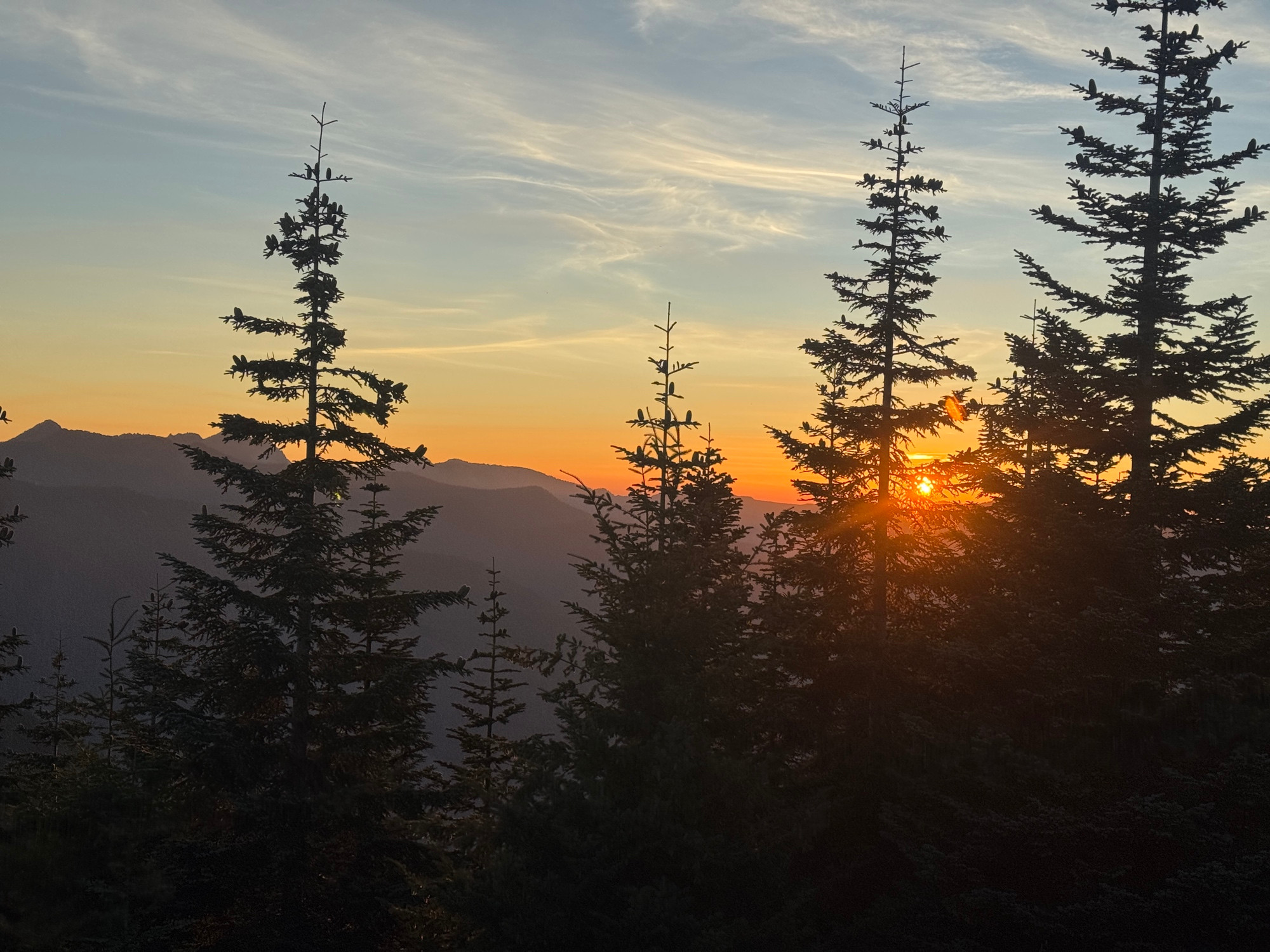 Trees are silhouetted in the foreground with the setting sun just above the mountains. 