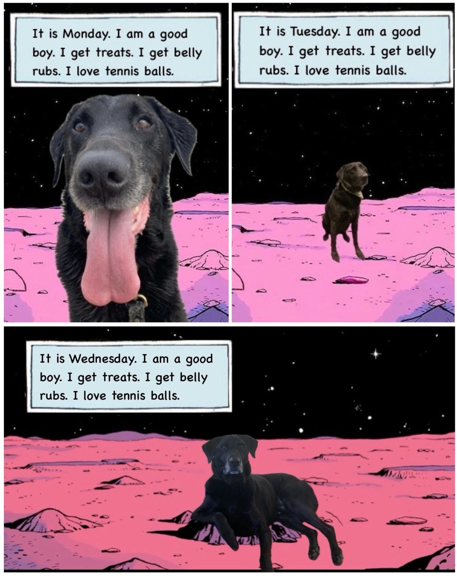 The Dr. Manhattan meme except it’s a black dog. He says “It is Monday. I am a good boy. I get treats. I get belly rubs. I love tennis balls.”