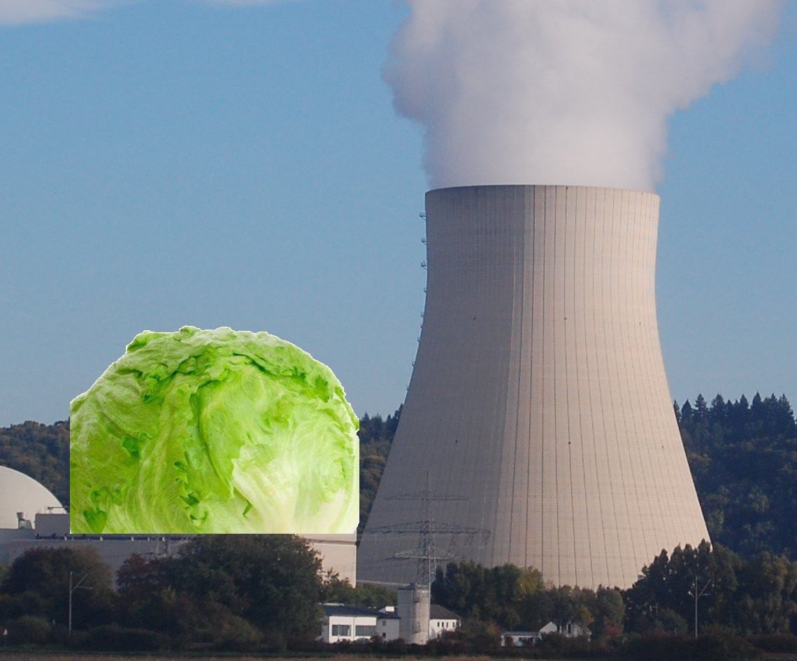 Nuclear power station. The reactor is replaced by an iceberg lettuce.