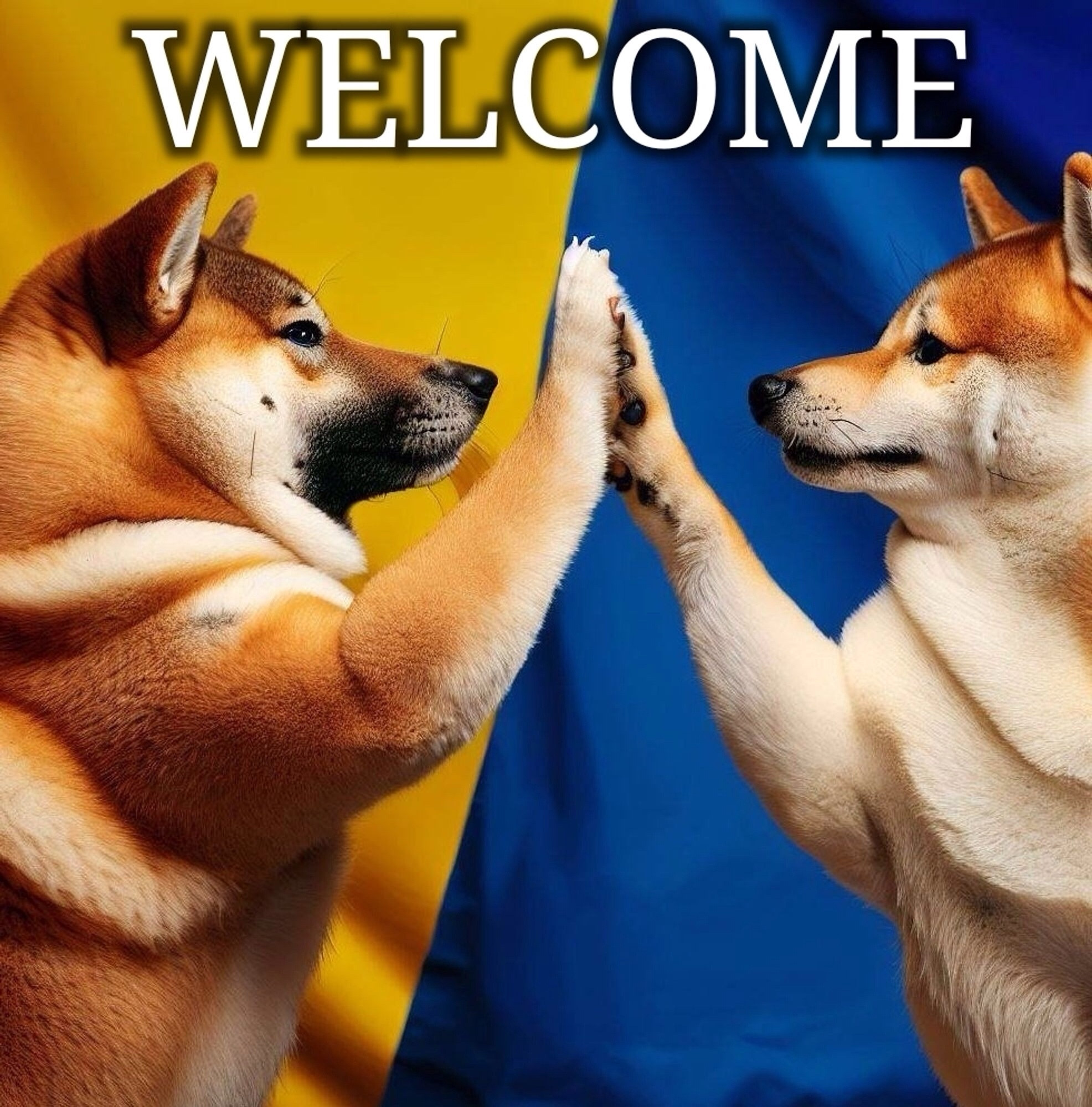 Two Fellas giving high fives in front of a Ukrainian flag, "Welcome"