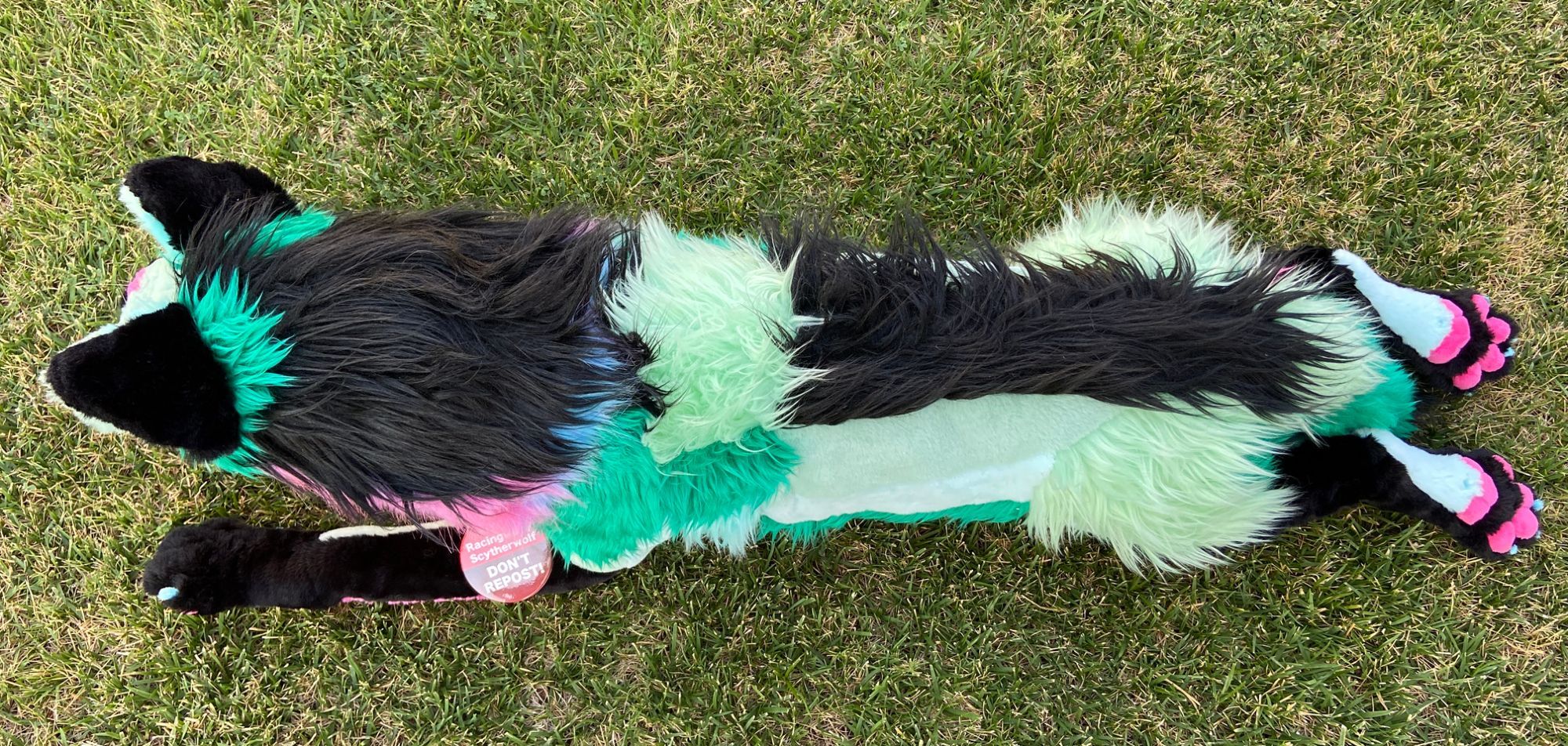 Sparklewolf plush from above