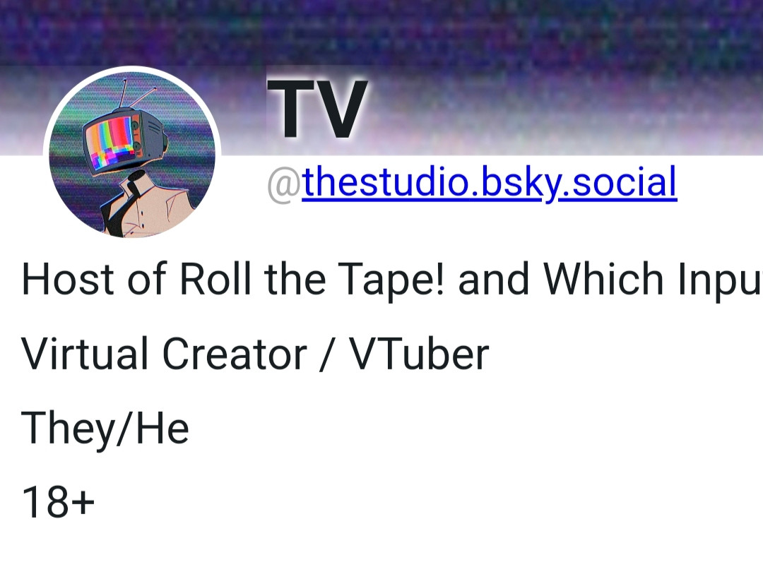 A screen cap of a blue sky profile for TV @ the studio dot blue sky social 

Pictured is a user who is known for abusive and harmful behavior. See the link in post. 