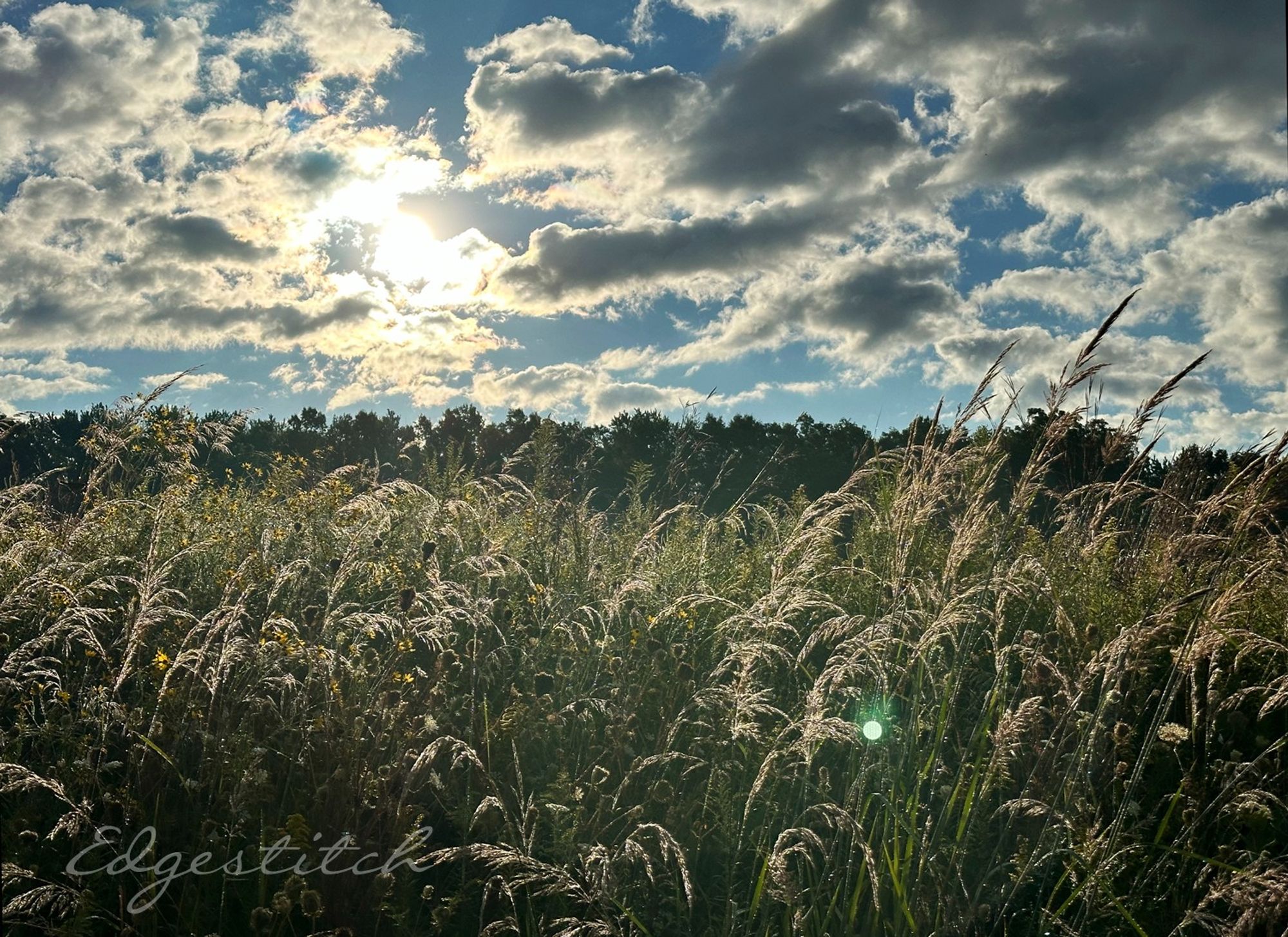 Blue sky with puffy clouds, sun shining through. Bottom half is field with grasses backlit by the sun in the foreground.  Green sunspot to the right. (Happens every time I shoot into the light. Which I do a lot.)

What the iphone doesn't capture is that all those feathery grasses in the foreground had sparkling dew on them.