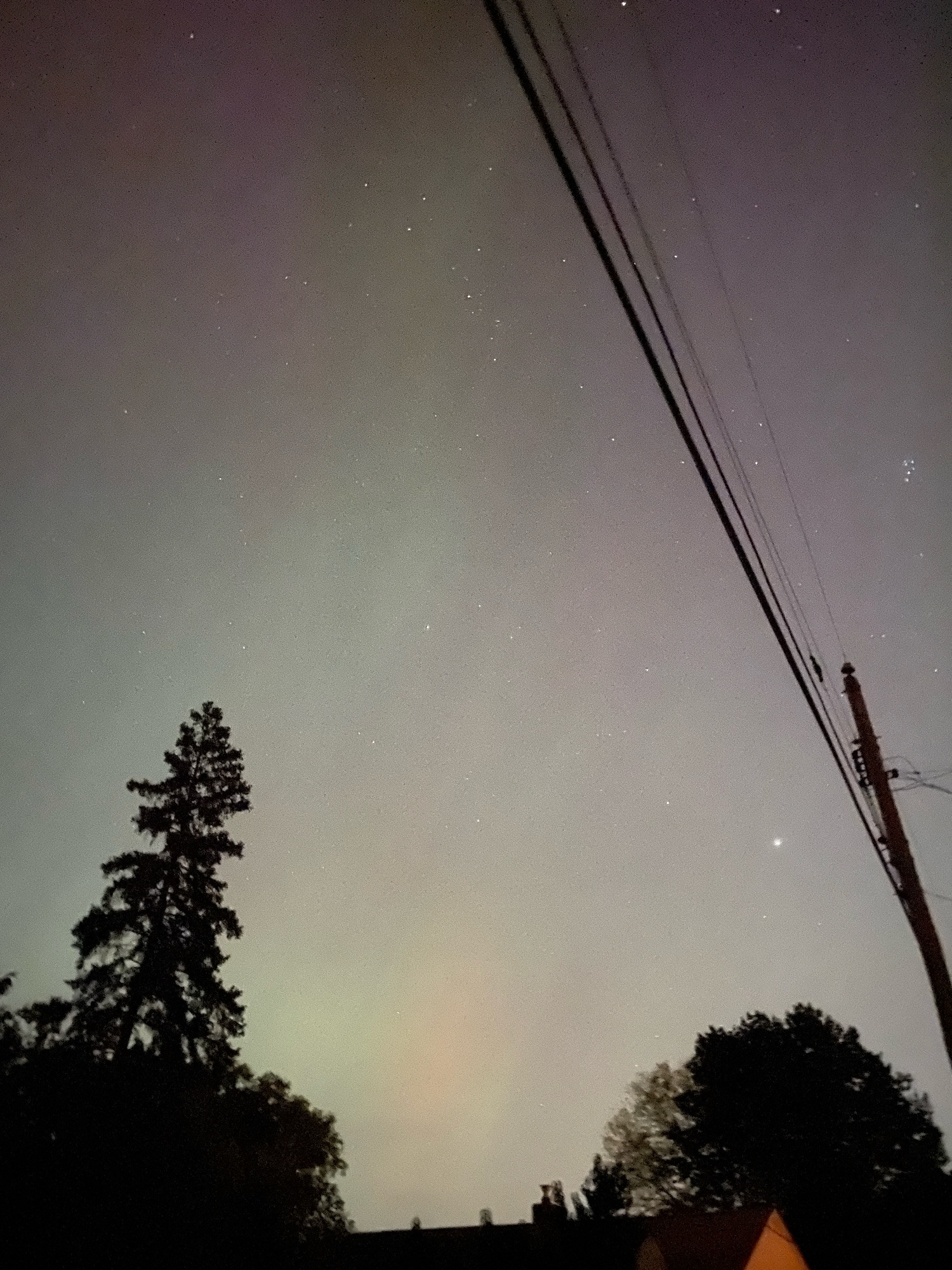 Faint green and yellow aurora, above trees, with pole and wires.