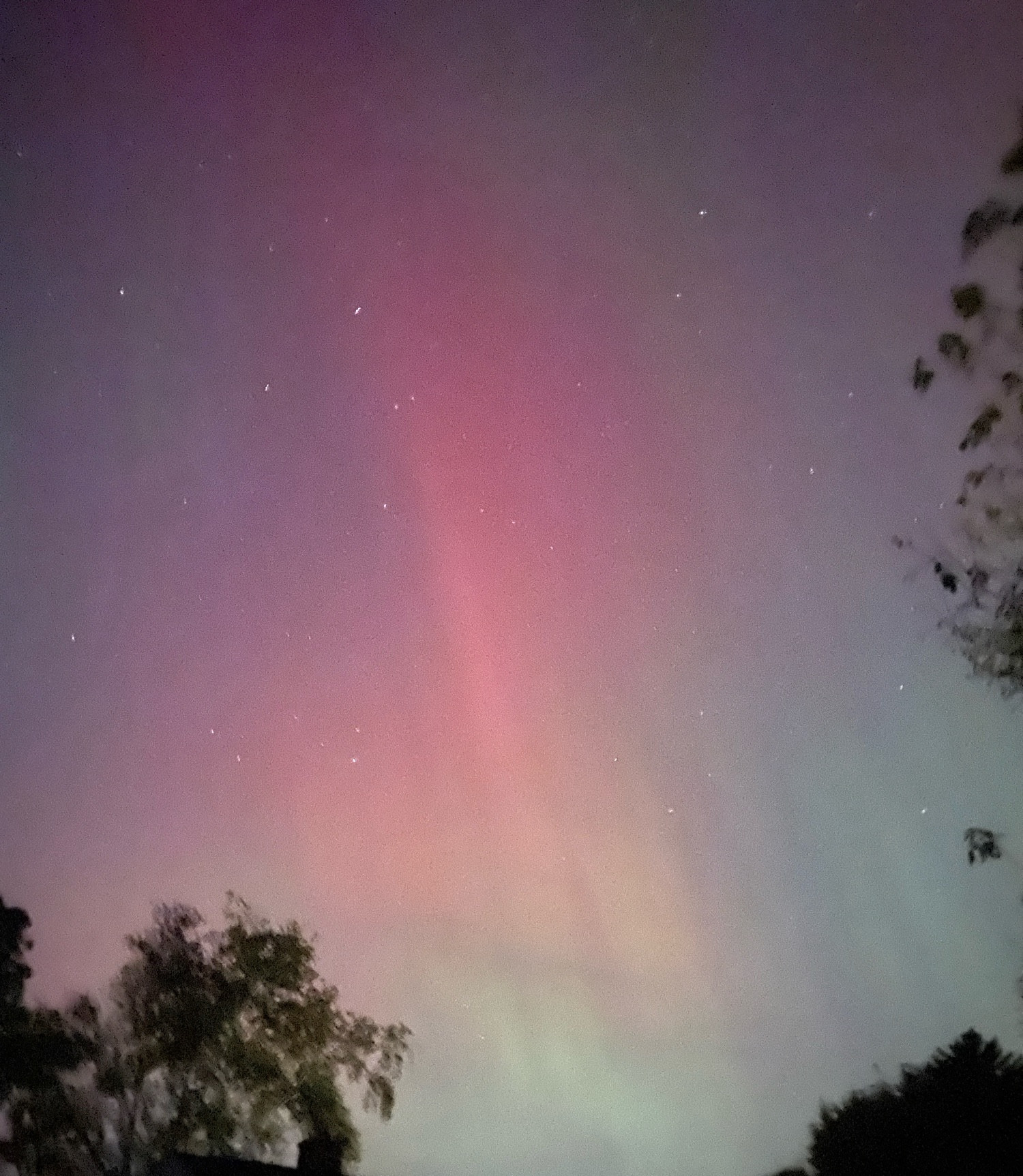 Faint pink and yellow and green aurora, above a house and trees