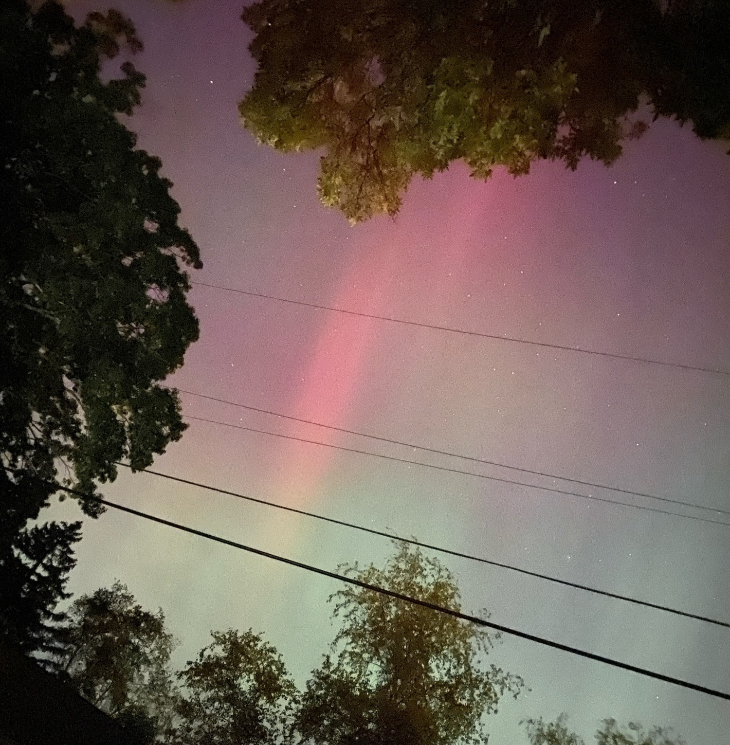 Faint pink and green aurora in the sky above a house and trees, with wires.