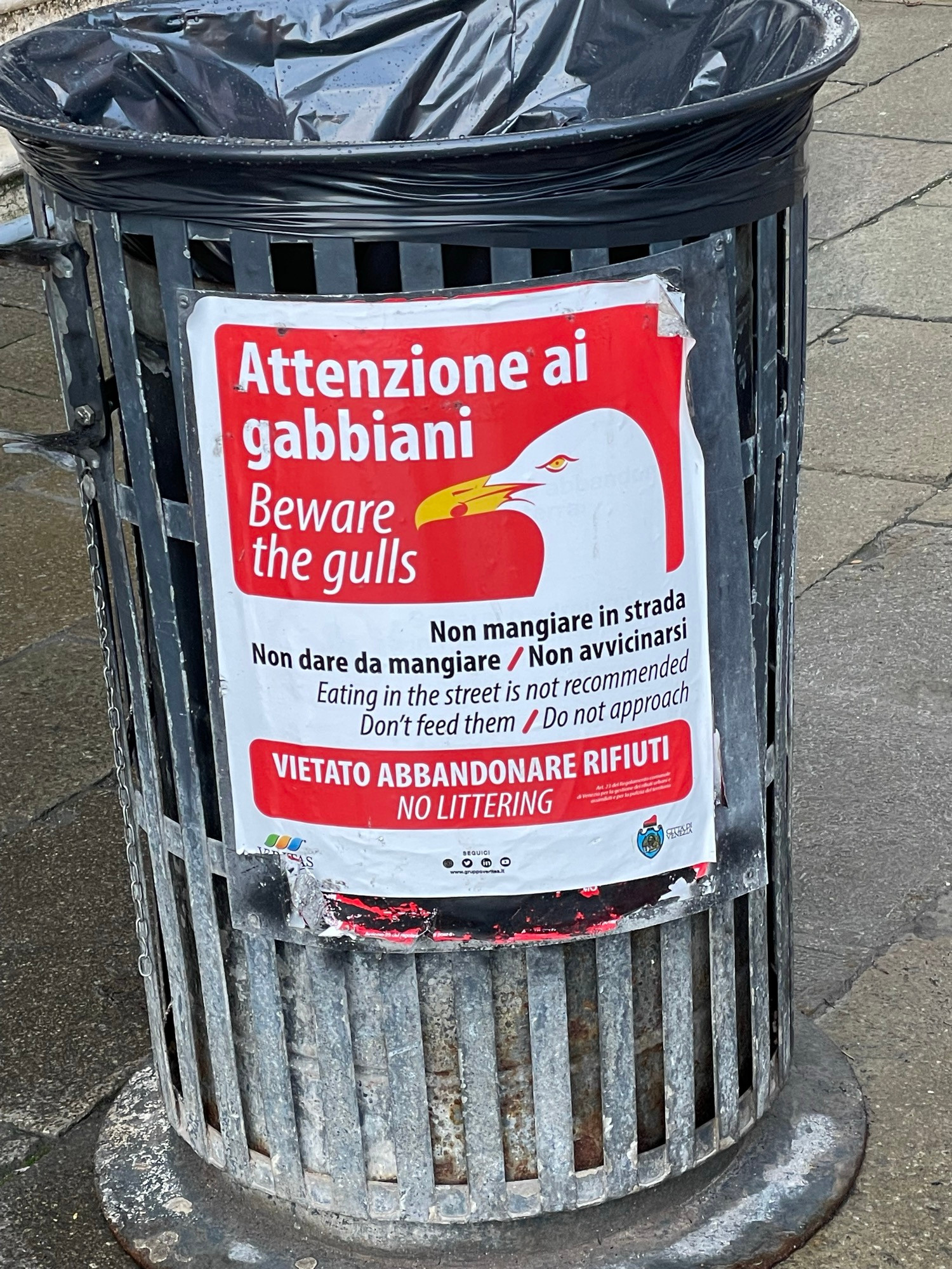 Trash can is pictured with a warning in Italian and English to beware of the gulls