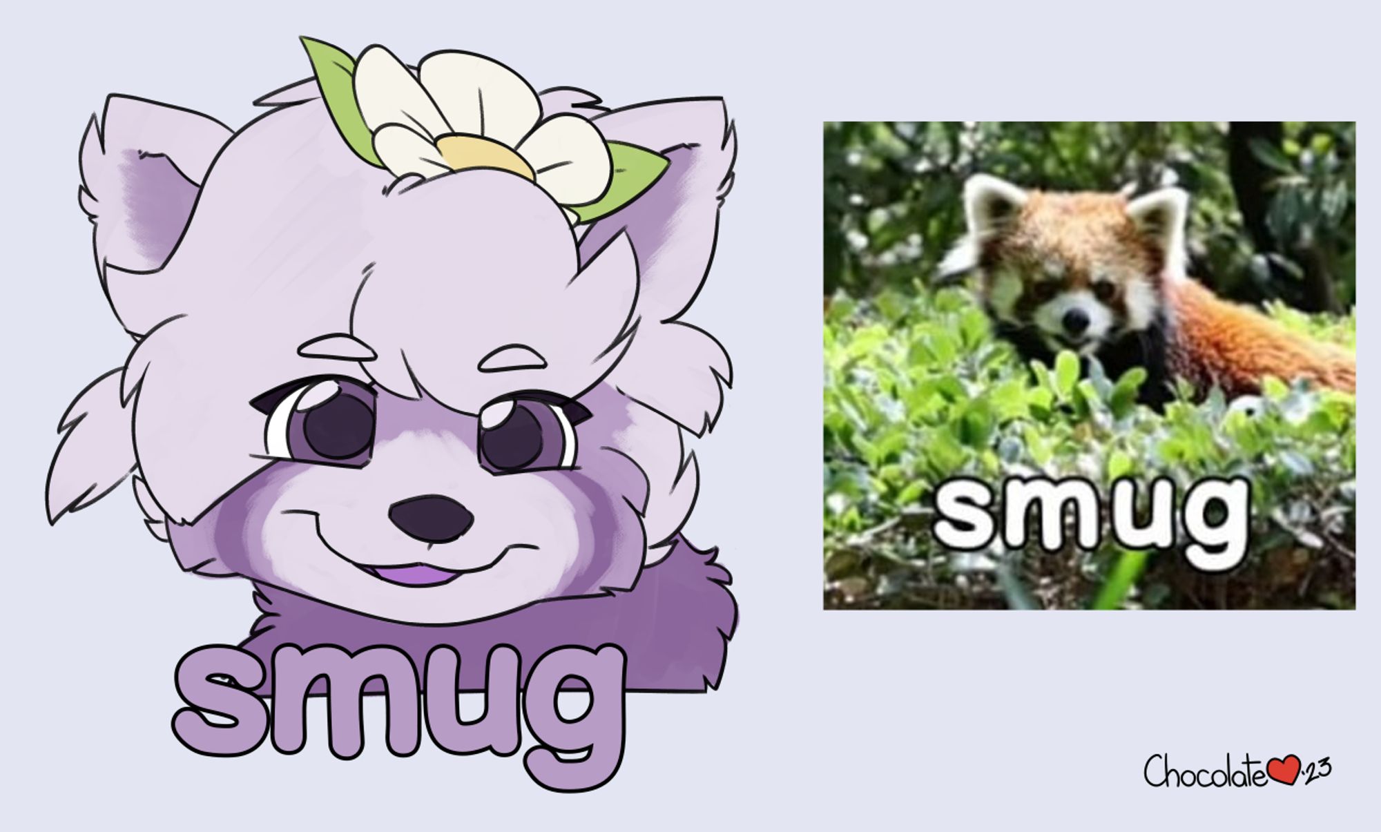 a sticker of a purple red panda looking smug, with the text caption "smug" below it, along with the reference material it was based off of.