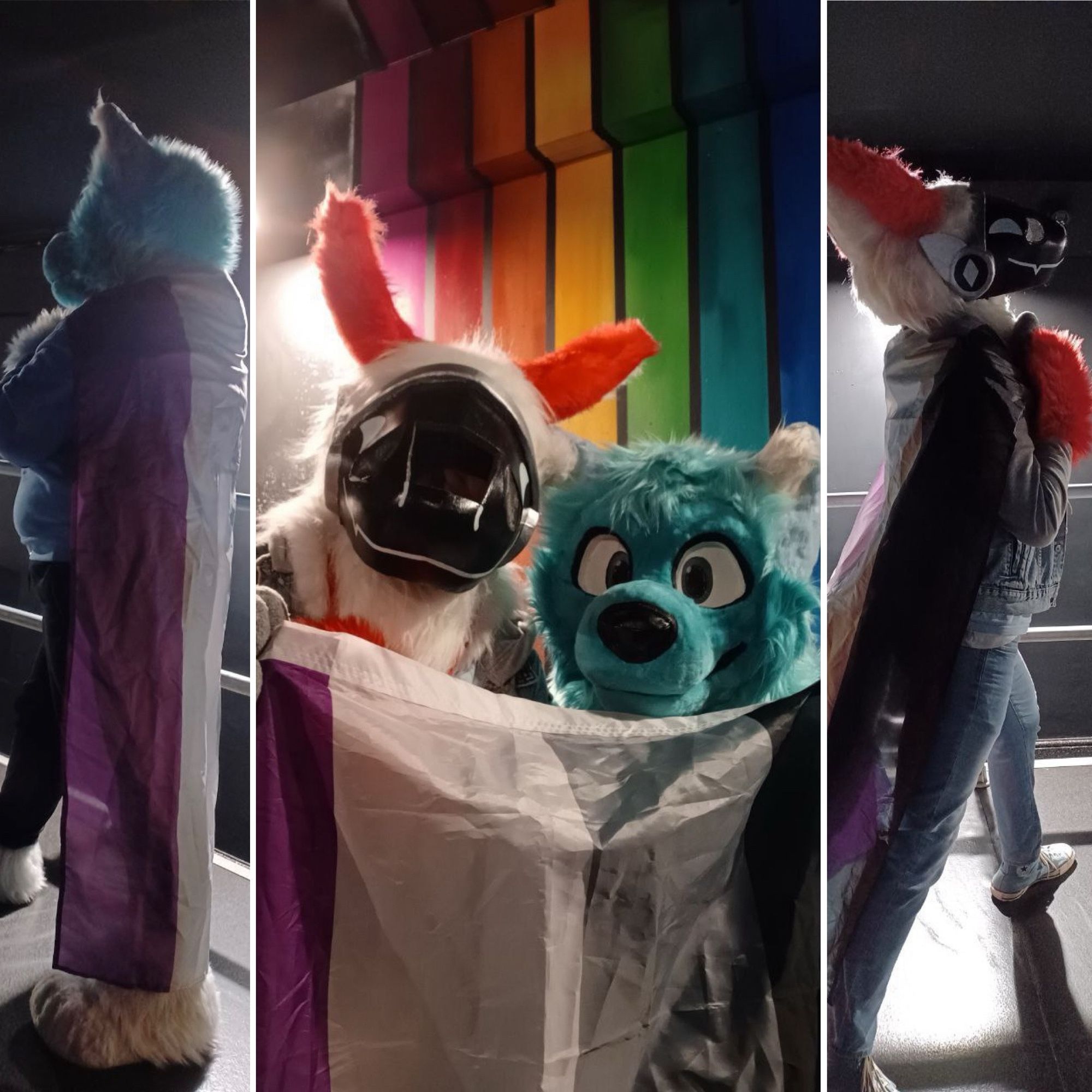 A protogen and blue wolf fursuiters posing with the asexual pride flag.