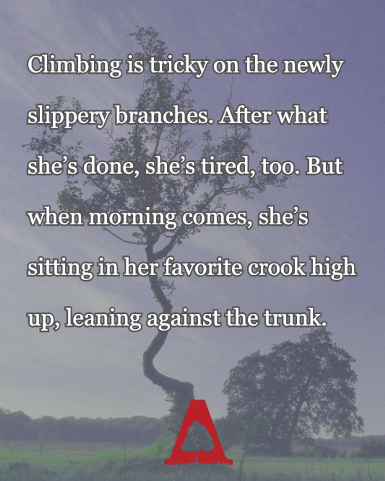 A tall, winding apple tree in a field. Text over the image reads "Climbing is tricky on the newly slippery branches. After what she’s done, she’s tired, too. But when morning comes, she’s sitting in her favorite crook high up, leaning against the trunk."