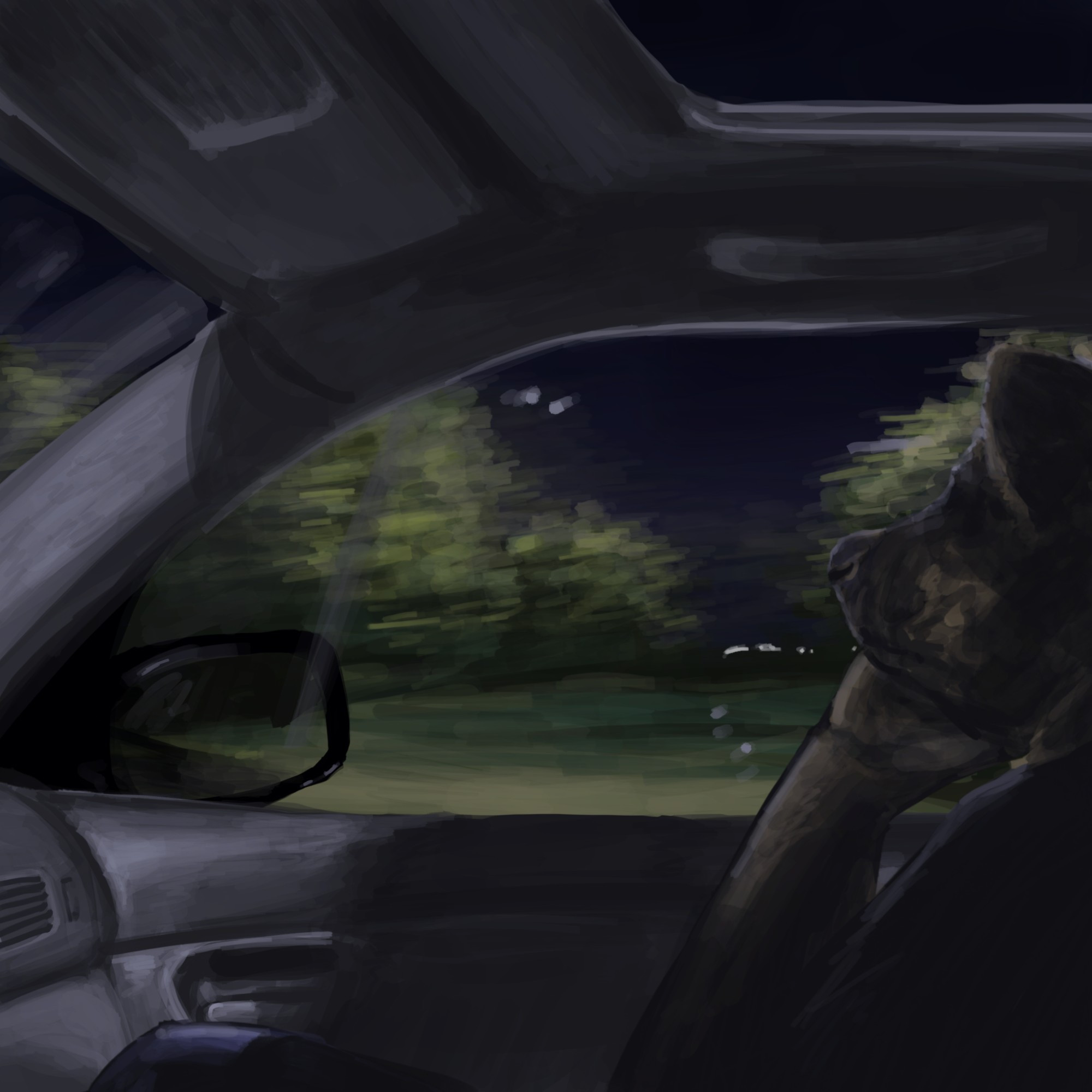 digital painting of an anthropomorphic hyena, sitting in the passenger seat of a moving car, resting a hand under their head, and staring out the window. outside, trees and distant lights blur past, with the sky dark shades of blue and purple. the interior of the car is dark, and it's difficult to distinguish the features of the character.