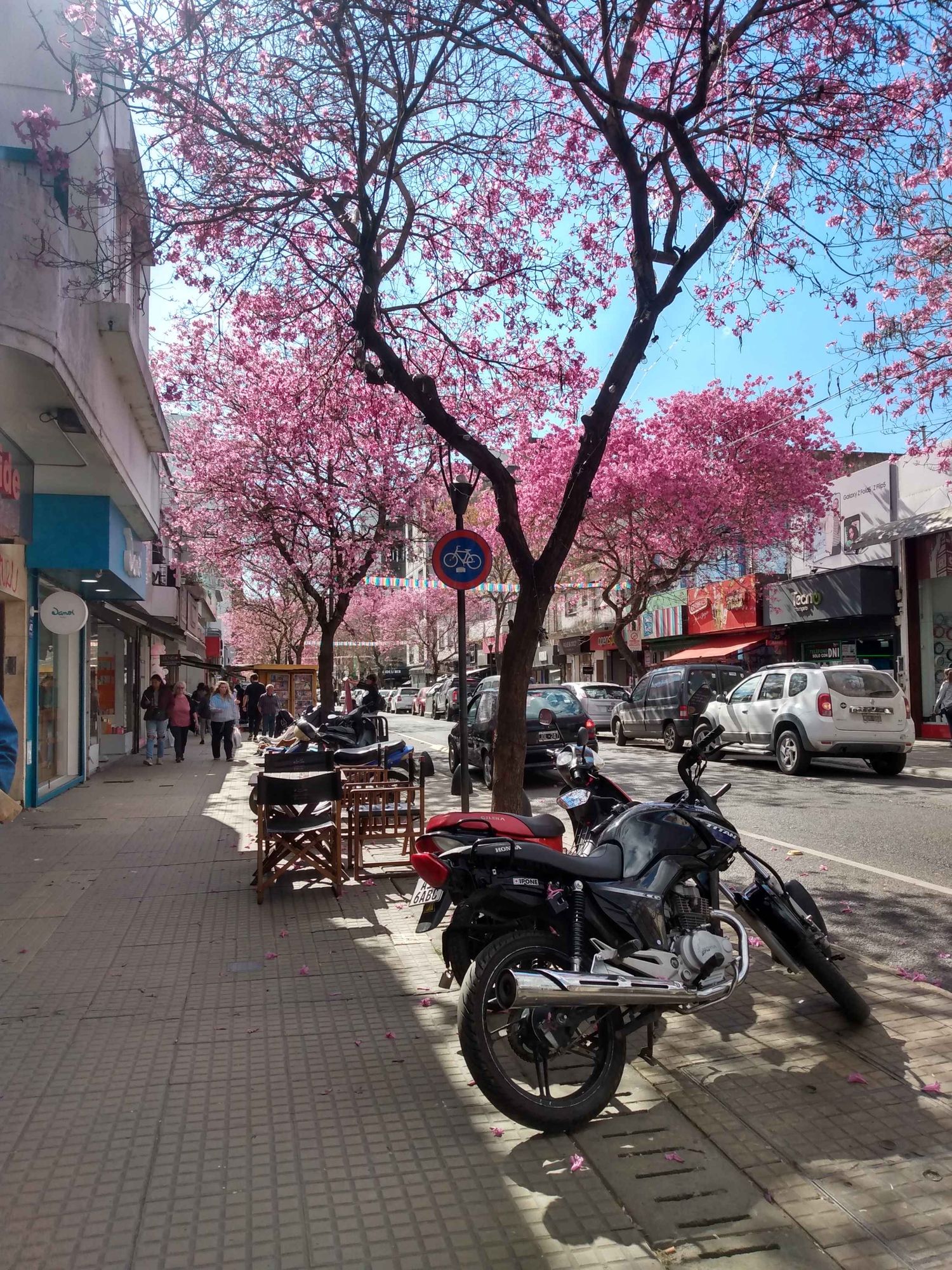 Tanto a la izquierda como a la derecha de la calle, un árbol de lapacho rosado tras otro. 
También de vez en cuando habían tiritas de colores decorando por encima de la calle