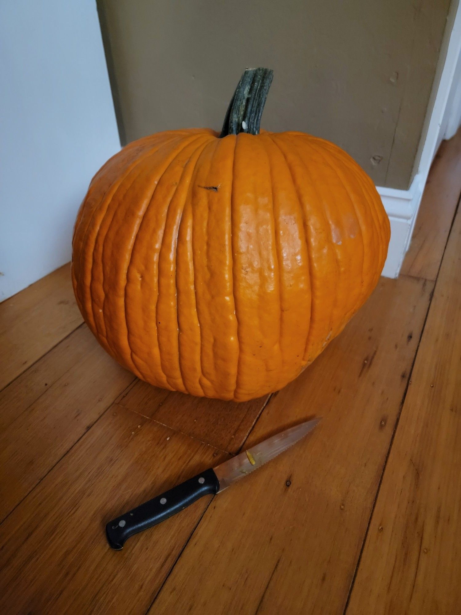 A wholesome uncarved pumpkin, and a knife with which to carve it