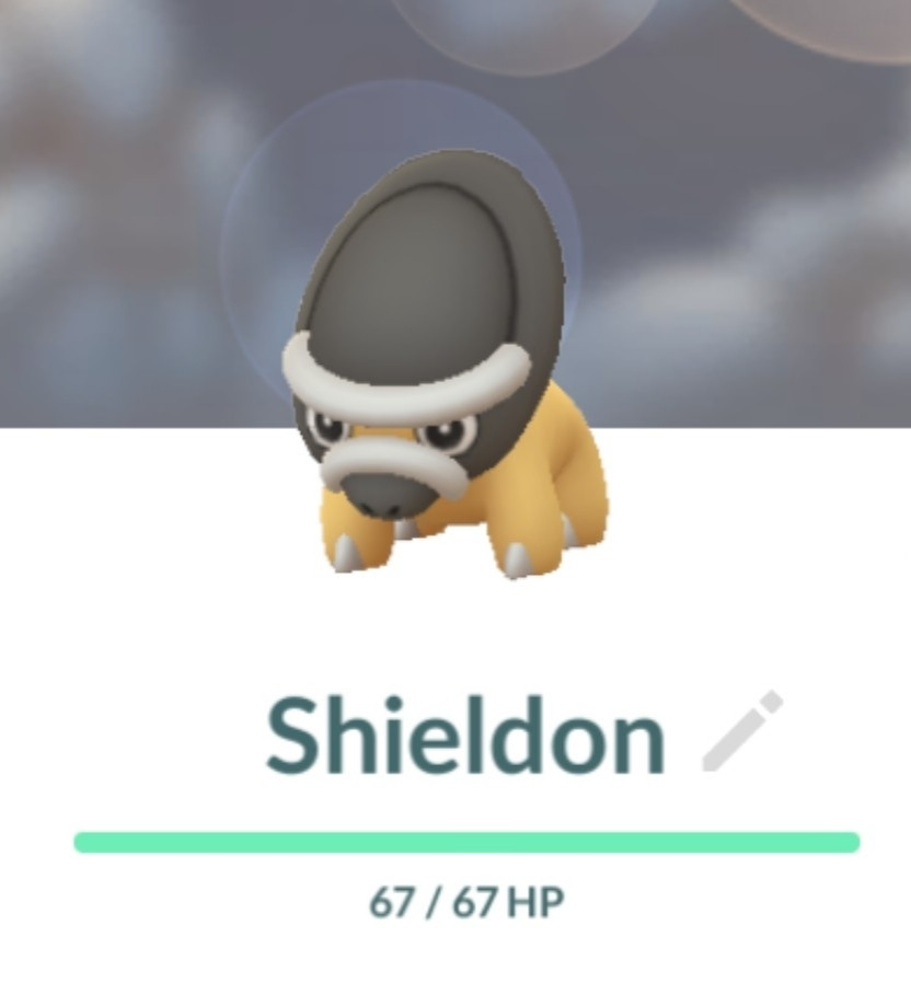 Shieldon, a pokemon