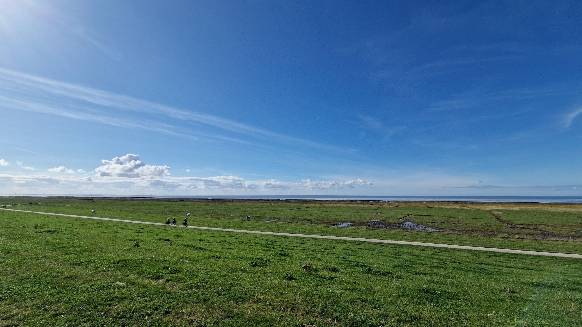 Deich, Nordsee, blauer Himmel, Wolken, Gras, ein paar Radfahrende