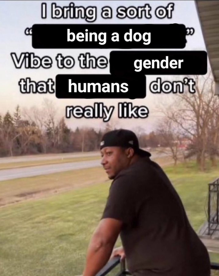 guy staring out of a balcony. text reads "I bring a sort of "being a dog" vibe to the gender that humans don't really like"