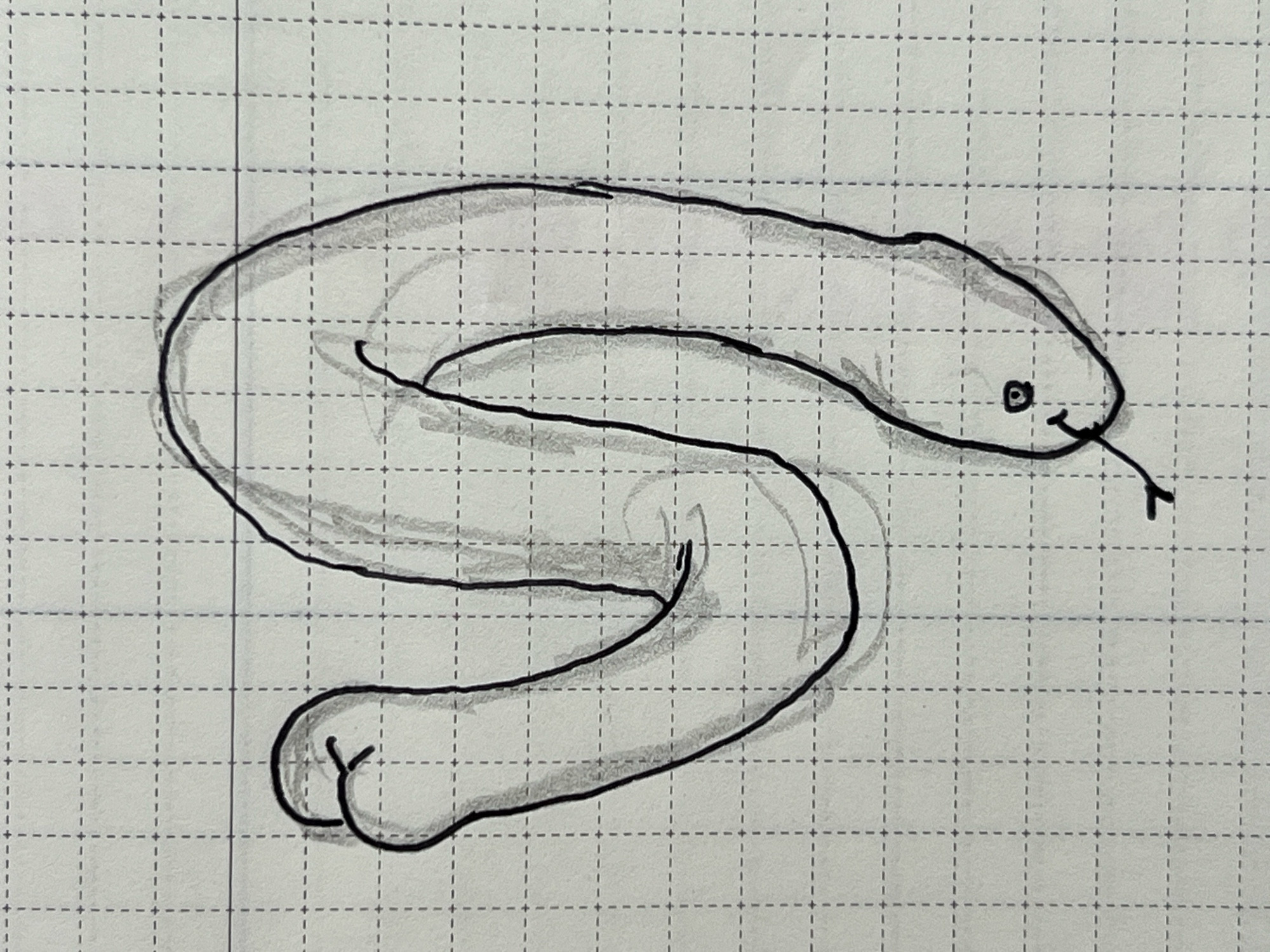 A drawing of a snake on the tip of its tail are too tight, rounded butt cheeks.