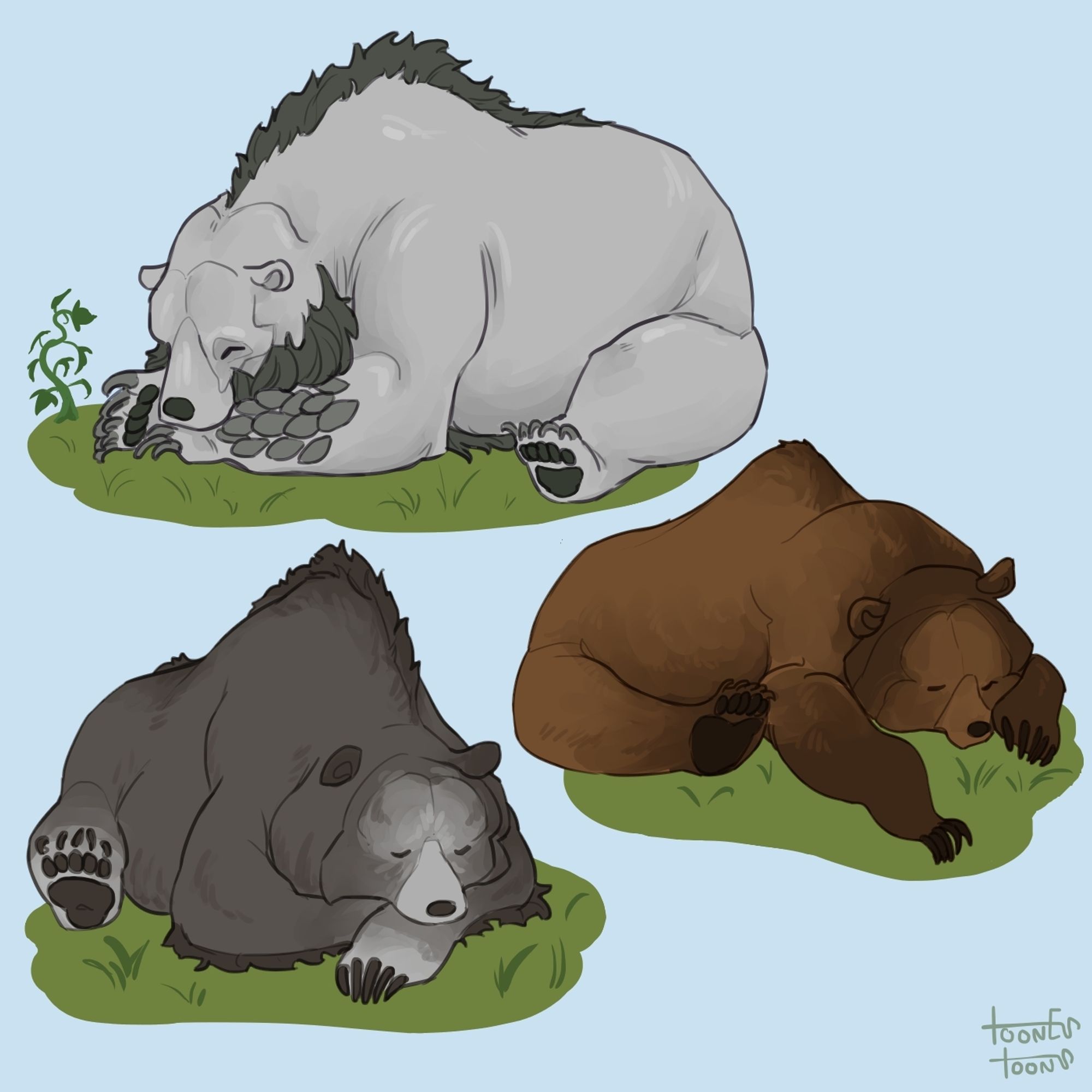 Sleeping great, large, and regular bears. The great bear has an elfroot