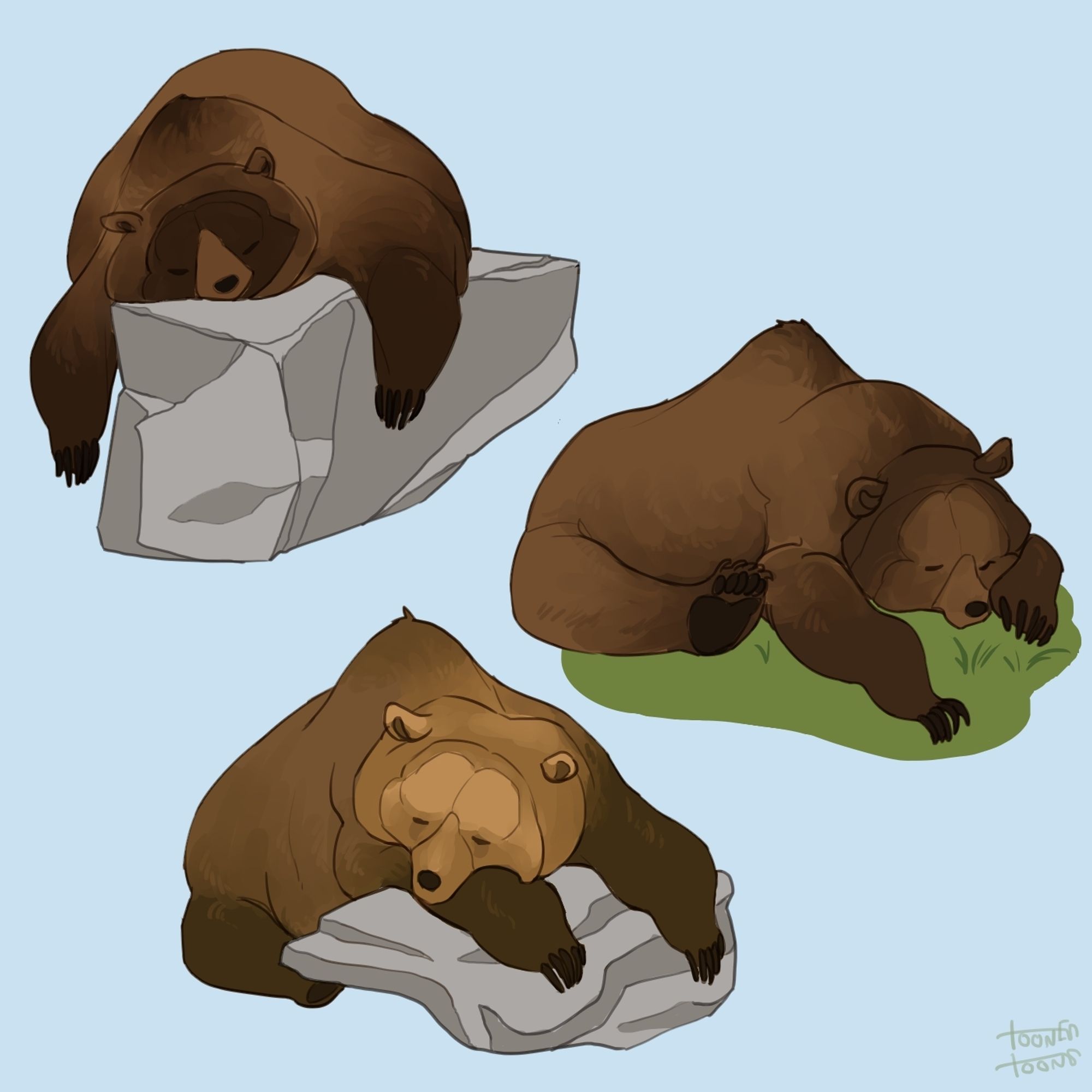 Three sleeping brown bears