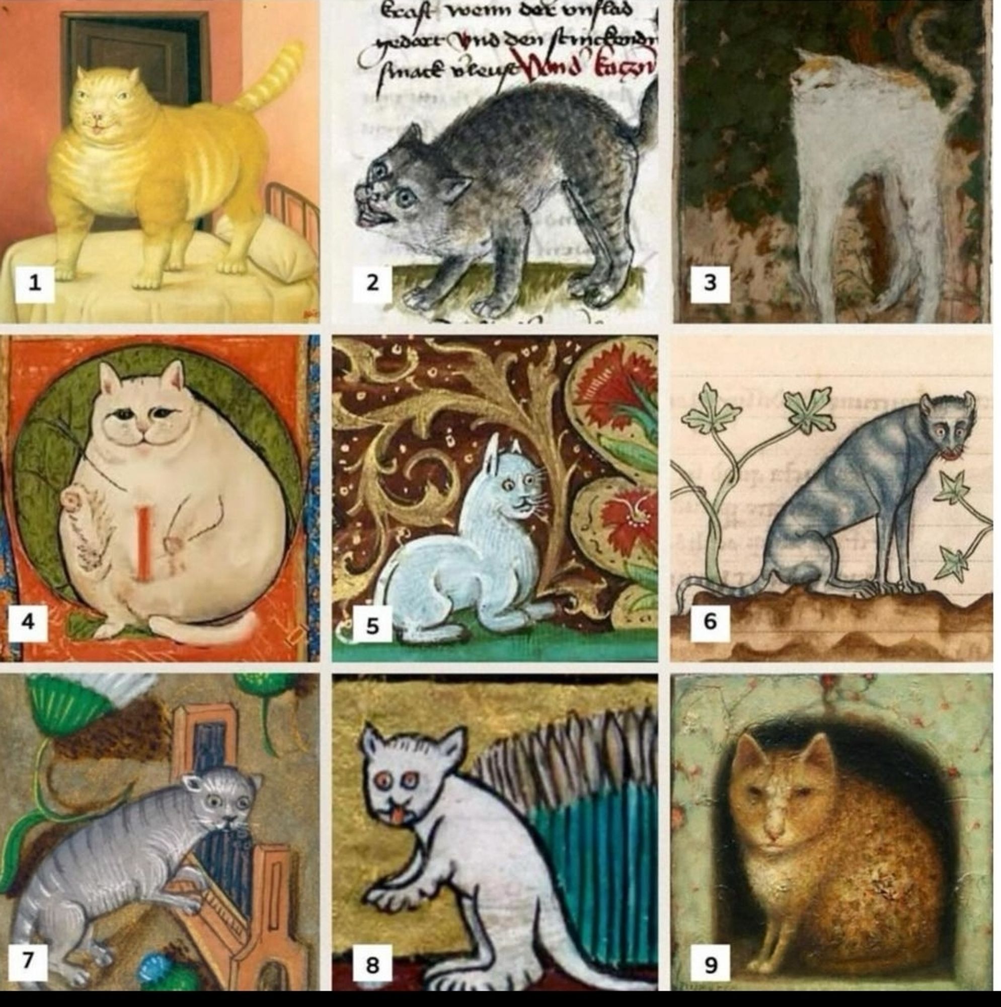 nove quadrinhos cada um com uma pintura medieval de um gato com as mais diferentes reações