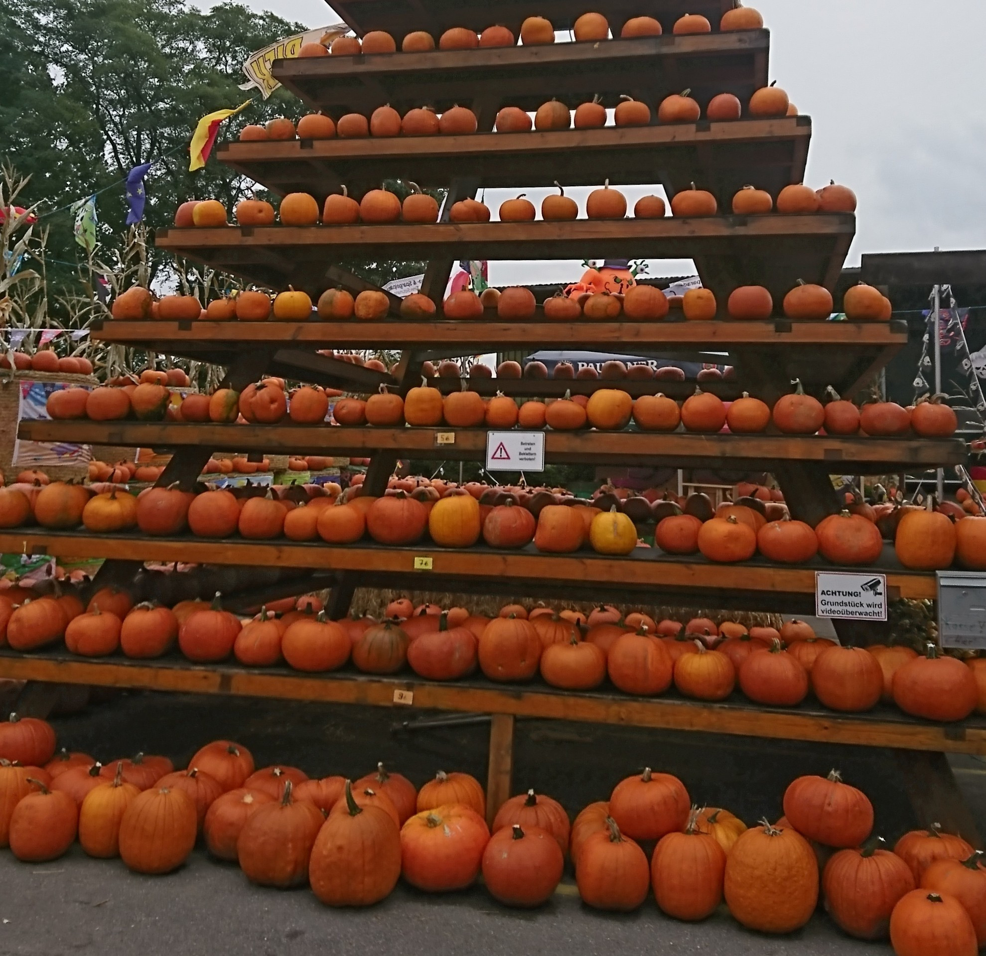 Ausschnitt einer riesigen Regalpyramide auf einem Hofplatz. Die Regale sind voll von orangefarbenen Kürbissen.