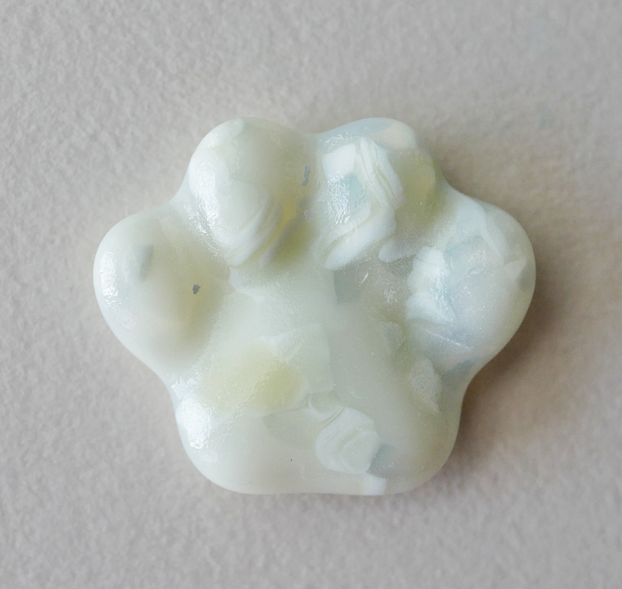 mottled white pocket paw