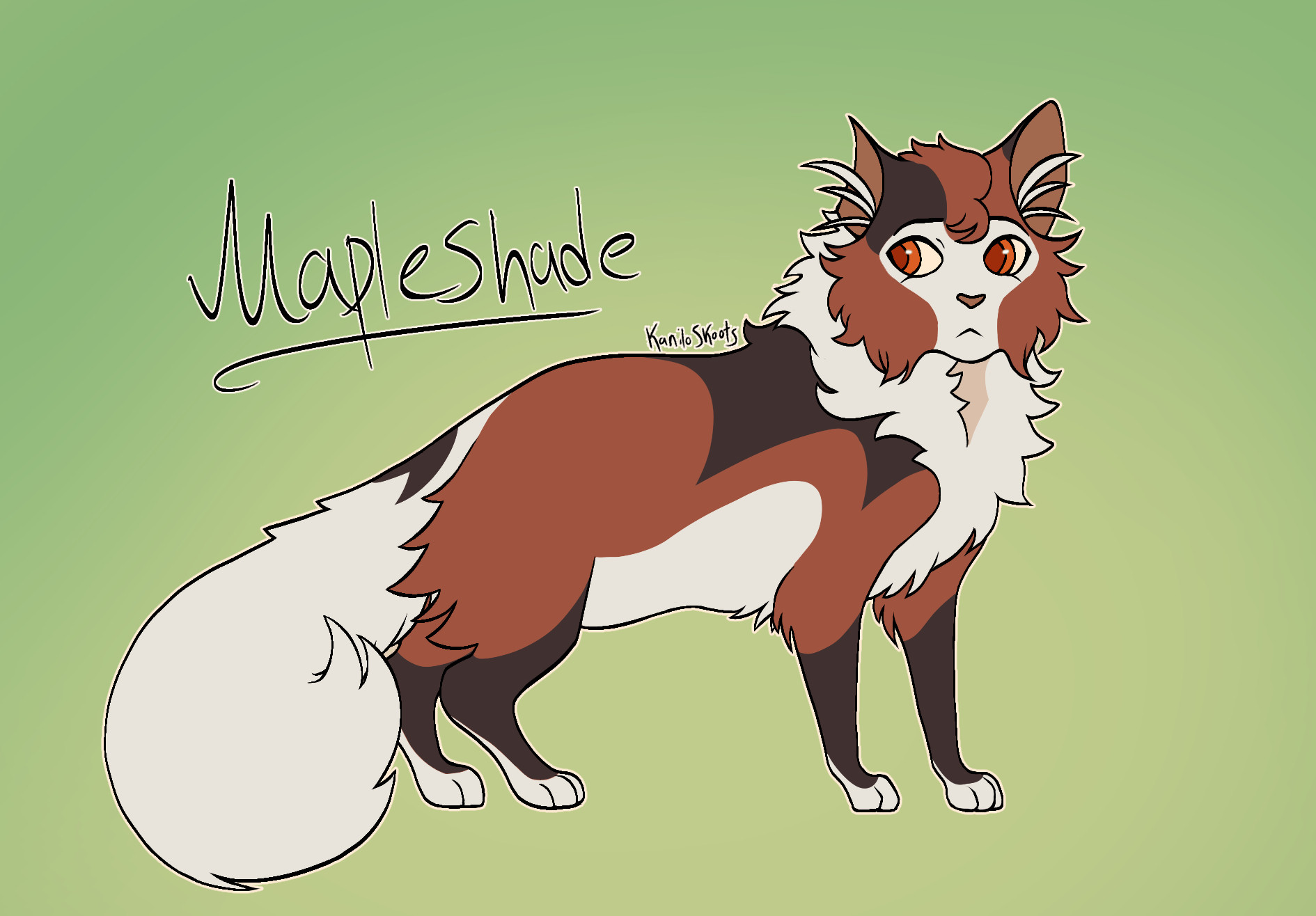 A tortoiseshell cat with a partially white face that continues down her neck, belly and tail. She has a neutral and innocent like expression and text reads her name Maple shade along with the artists signature kanilo skoots