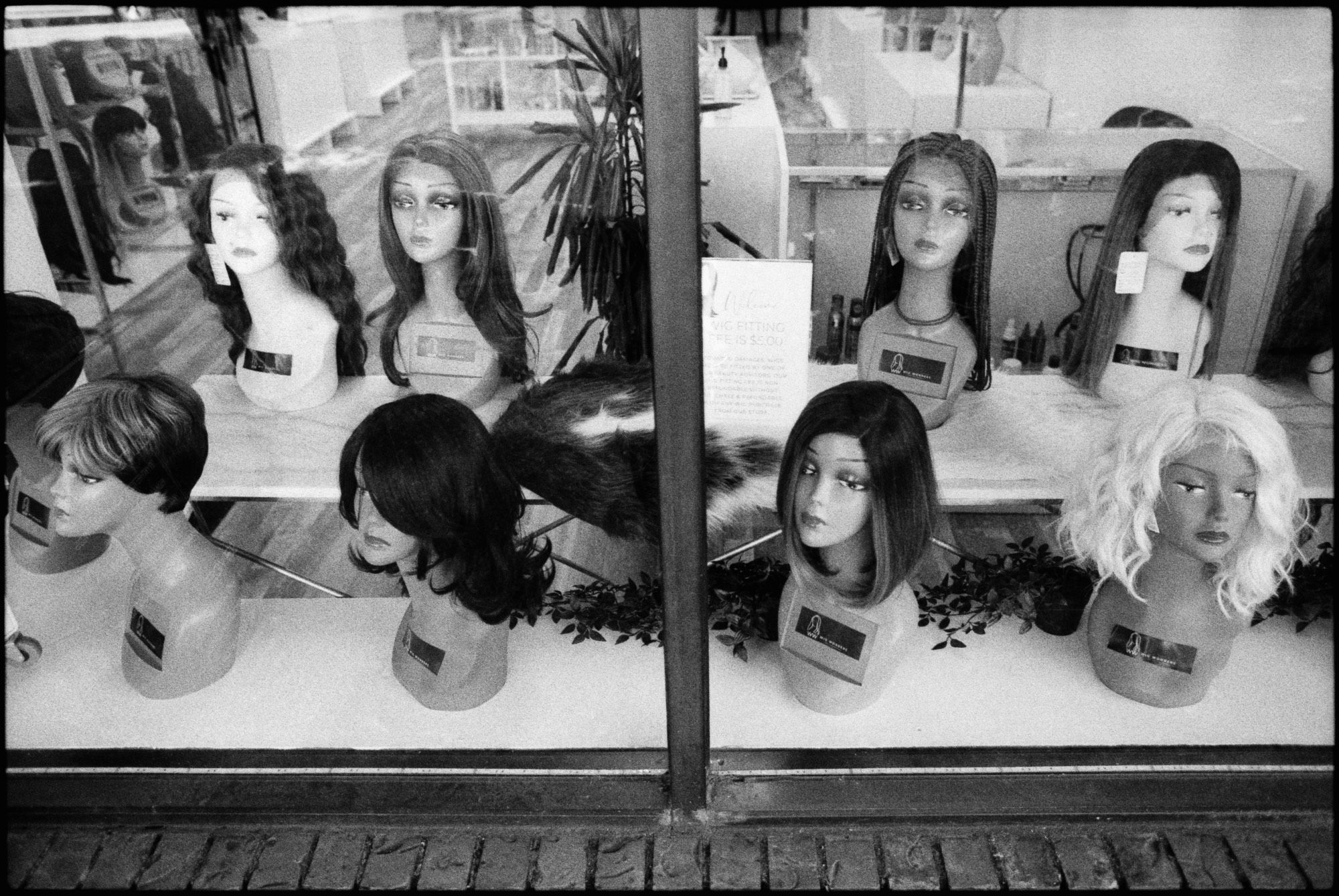 Black and white photo of various wig mannequins peering out to the sidewalk from within their storefront.