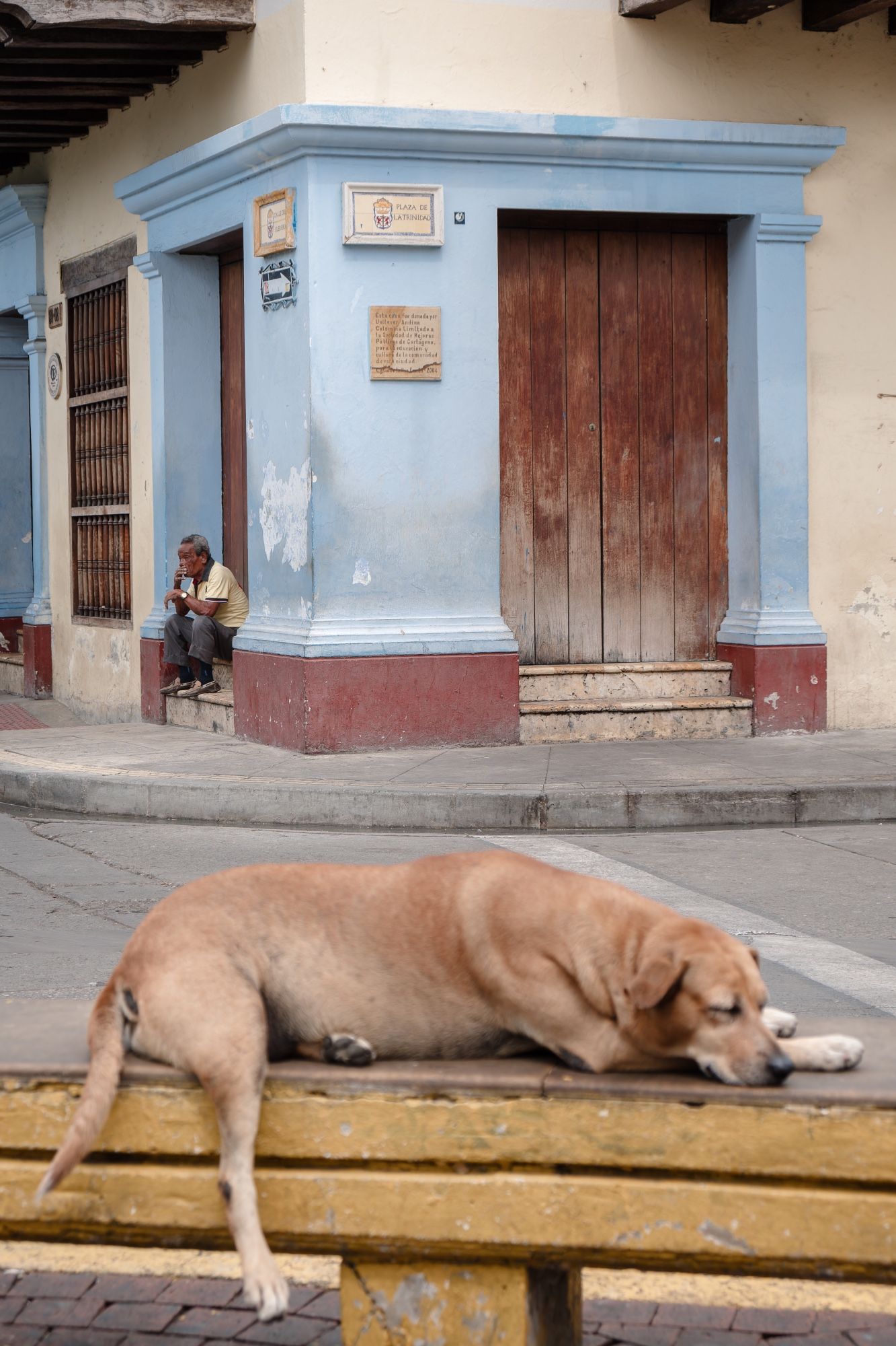 A man on a stoop holds his chin in his hand in thought while a stray dog dreams in the foreground.