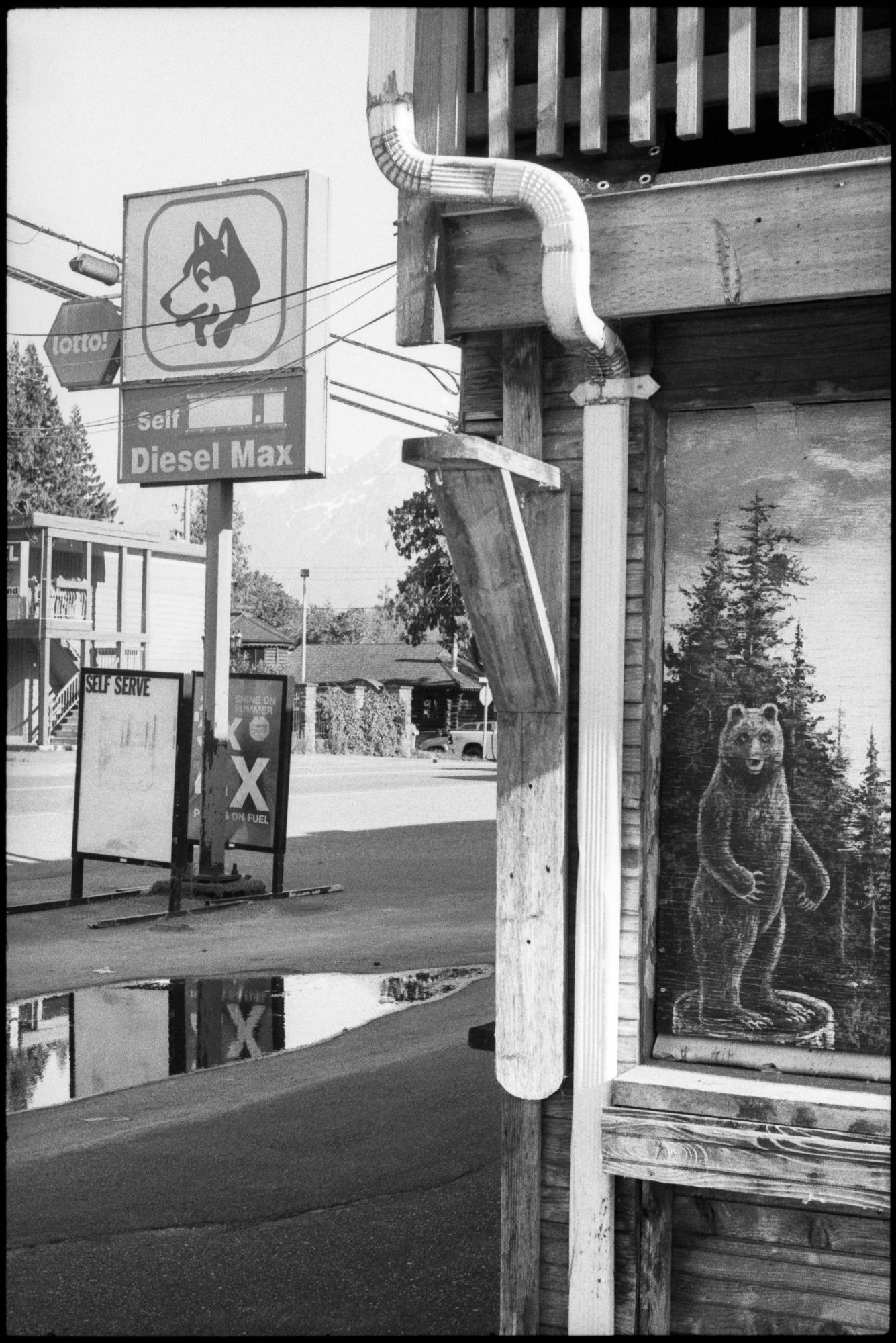 A corner of a mural of a grizzly on a stump on the side of a Husky station. Black and white photograph.