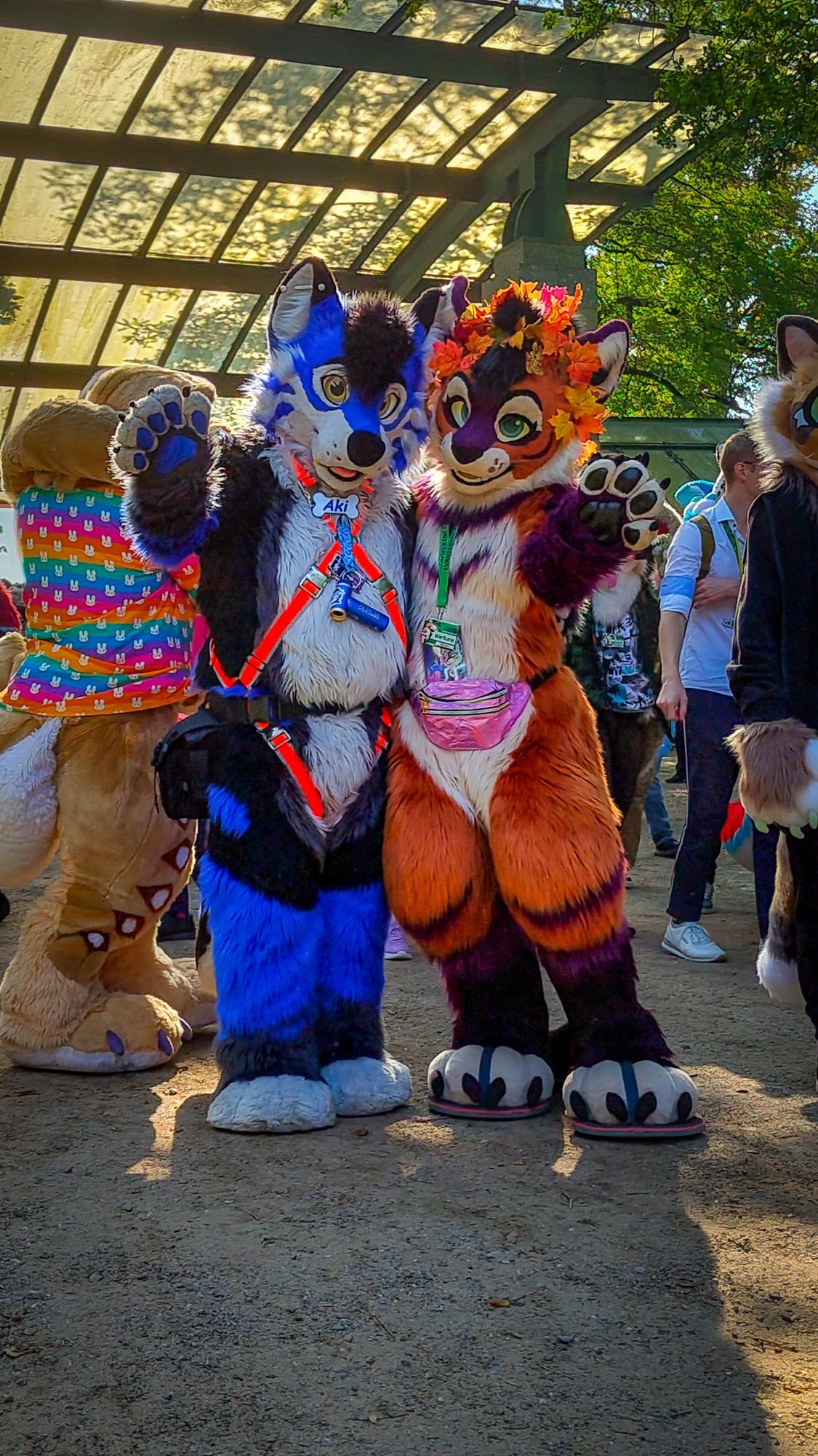 Cuddling a cute kitty during the fursuit parade at Eurofurence28